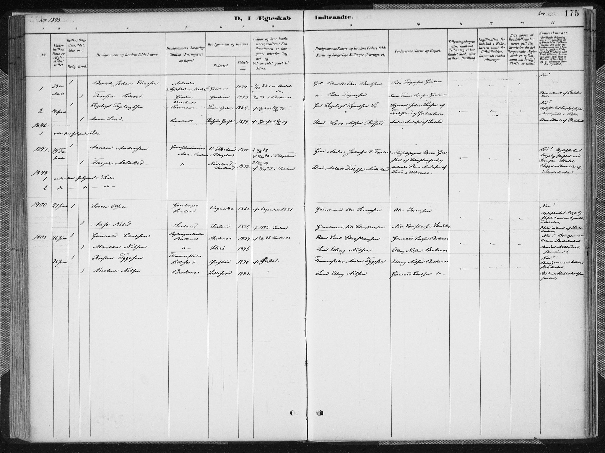 Birkenes sokneprestkontor, SAK/1111-0004/F/Fa/L0005: Parish register (official) no. A 5, 1887-1907, p. 175