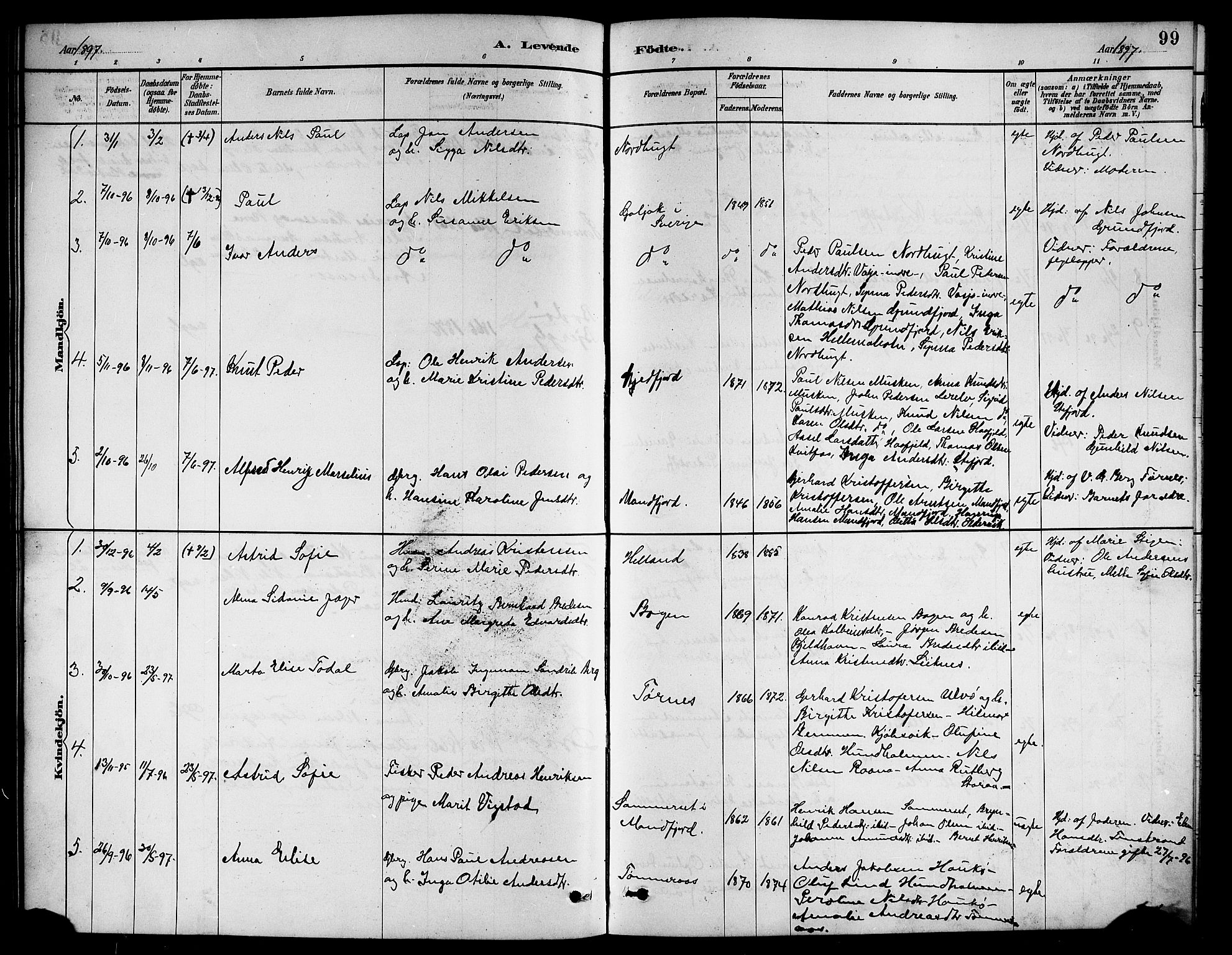 Ministerialprotokoller, klokkerbøker og fødselsregistre - Nordland, AV/SAT-A-1459/861/L0876: Parish register (copy) no. 861C02, 1887-1903, p. 99