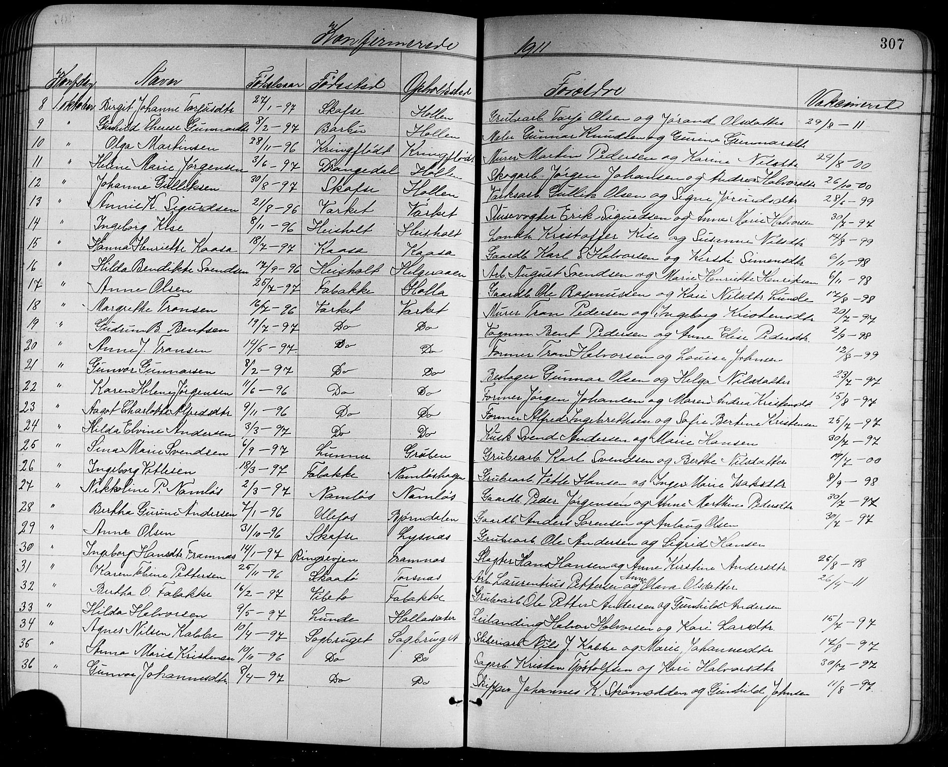 Holla kirkebøker, AV/SAKO-A-272/G/Ga/L0005: Parish register (copy) no. I 5, 1891-1917, p. 307