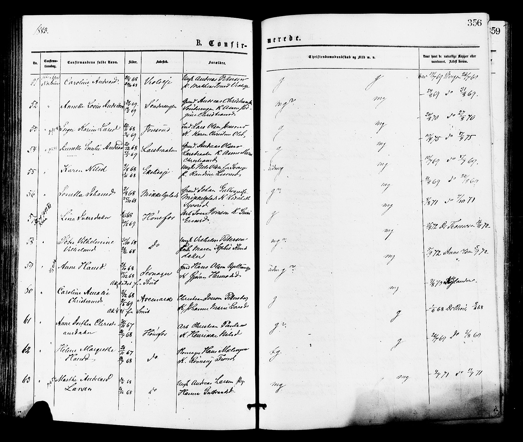 Norderhov kirkebøker, AV/SAKO-A-237/F/Fa/L0015: Parish register (official) no. 15, 1875-1884, p. 356