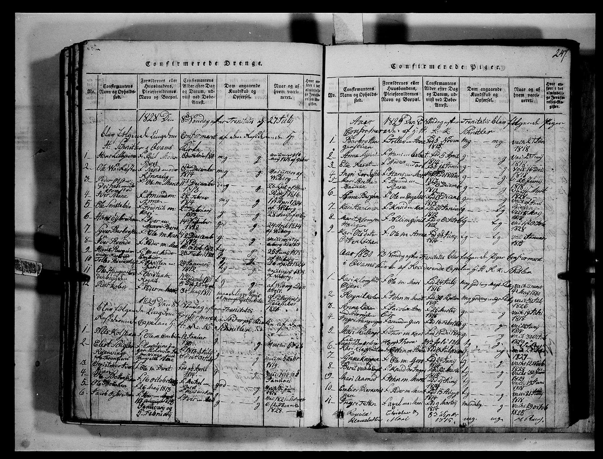 Fron prestekontor, SAH/PREST-078/H/Ha/Hab/L0002: Parish register (copy) no. 2, 1816-1850, p. 247