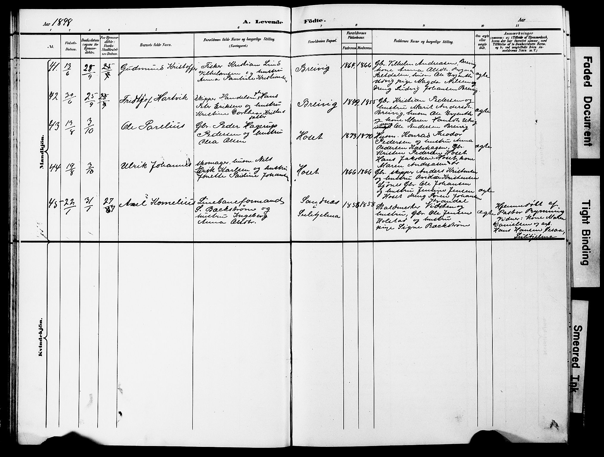 Ministerialprotokoller, klokkerbøker og fødselsregistre - Nordland, AV/SAT-A-1459/852/L0755: Parish register (copy) no. 852C06, 1895-1902