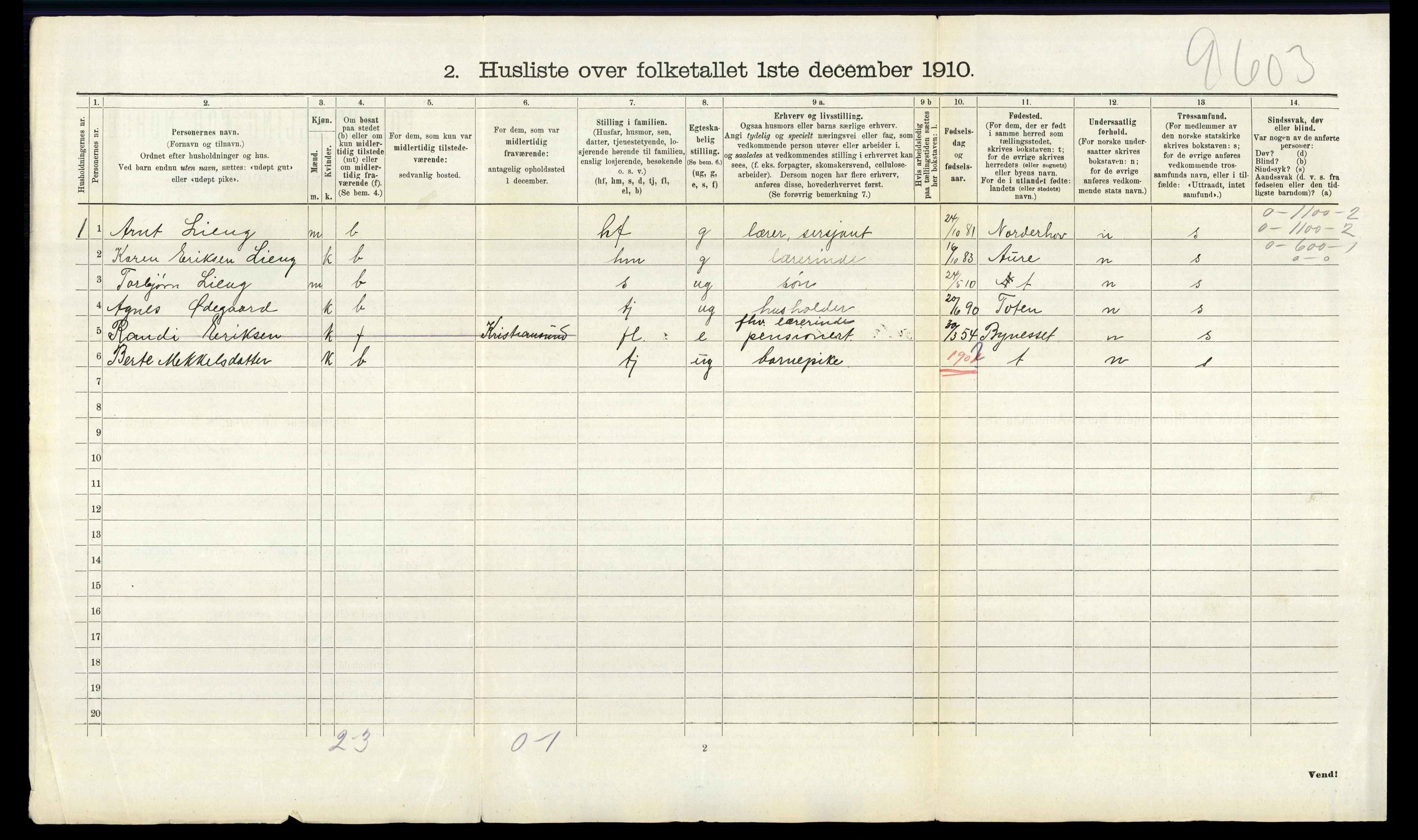 RA, 1910 census for Nes, 1910, p. 844