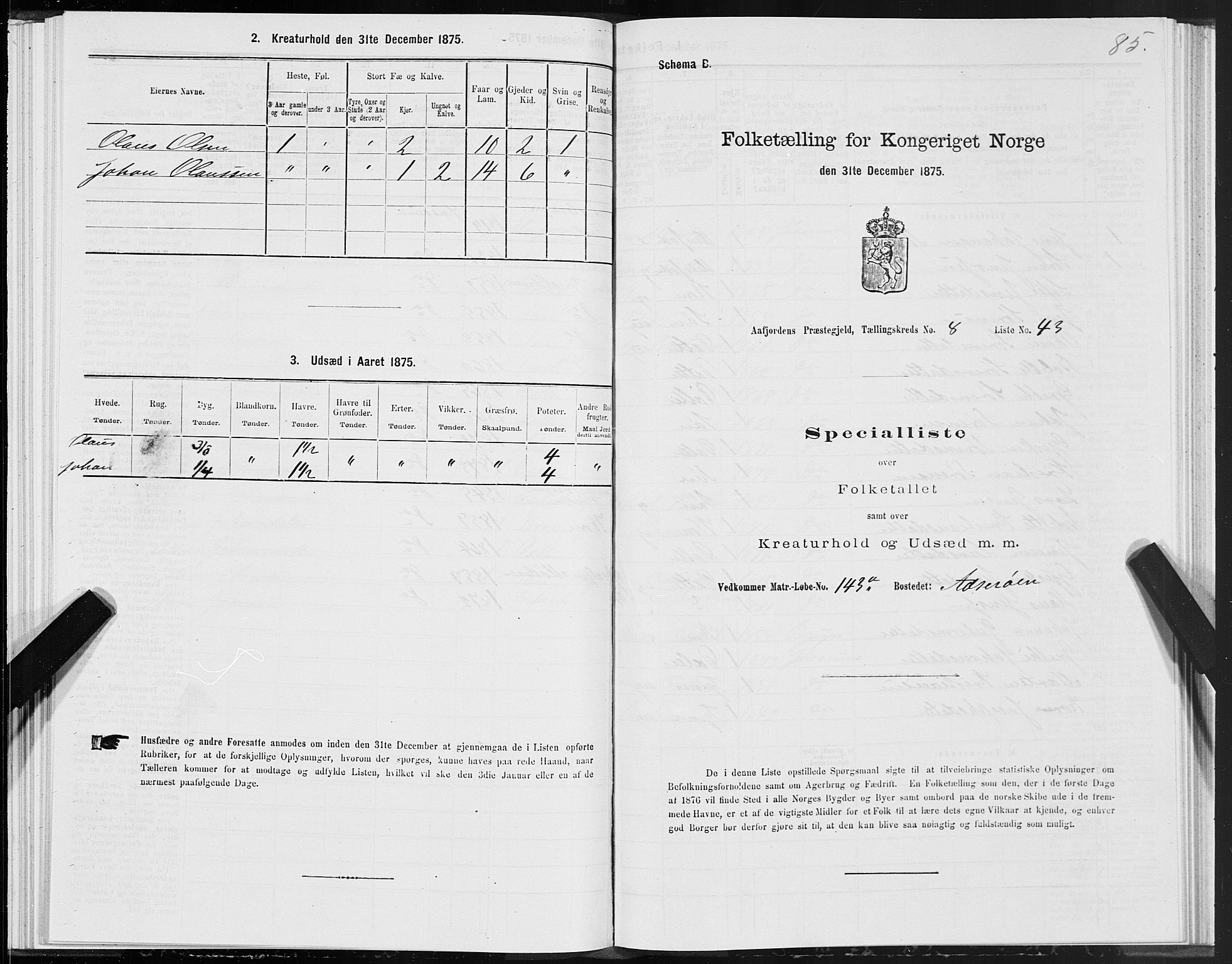 SAT, 1875 census for 1630P Aafjorden, 1875, p. 4085