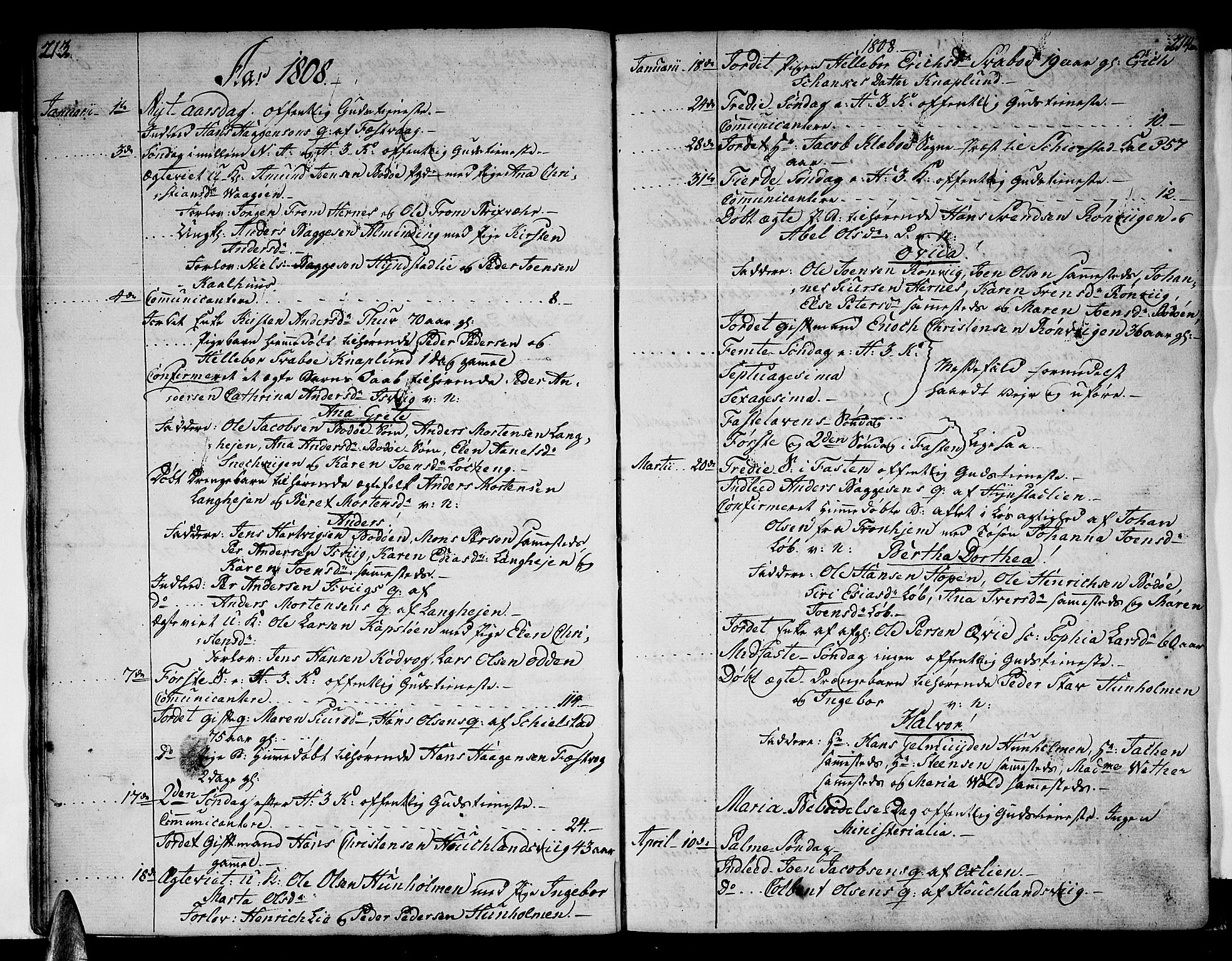 Ministerialprotokoller, klokkerbøker og fødselsregistre - Nordland, SAT/A-1459/801/L0004: Parish register (official) no. 801A04, 1796-1817, p. 213-214