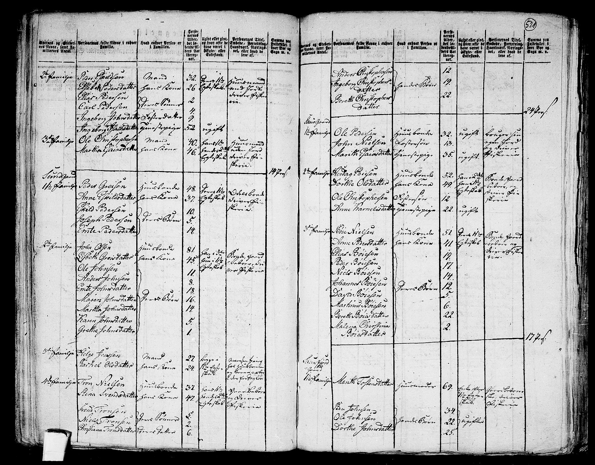 RA, 1801 census for 1848P Steigen, 1801, p. 520b-521a