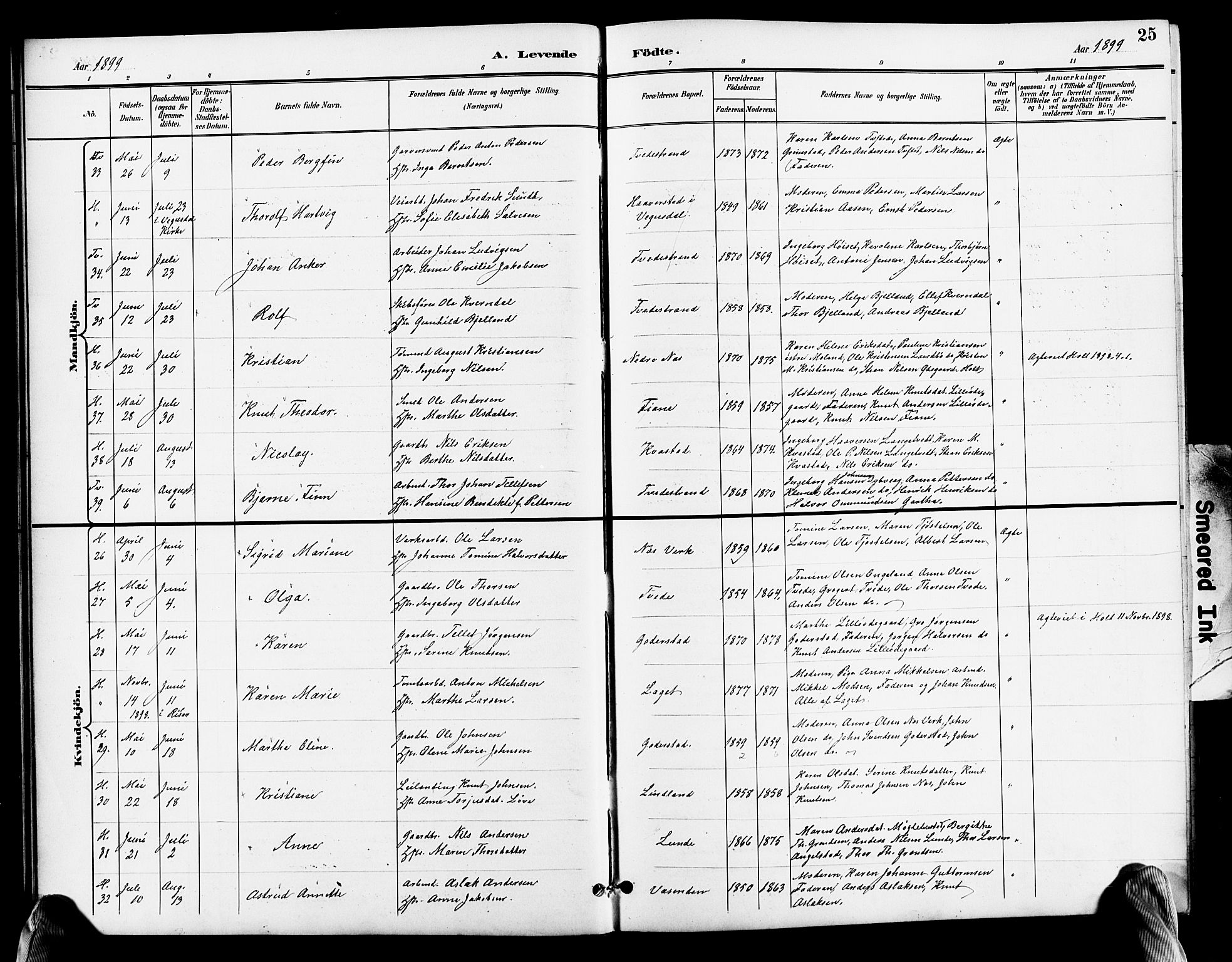 Holt sokneprestkontor, AV/SAK-1111-0021/F/Fb/L0011: Parish register (copy) no. B 11, 1897-1921, p. 25