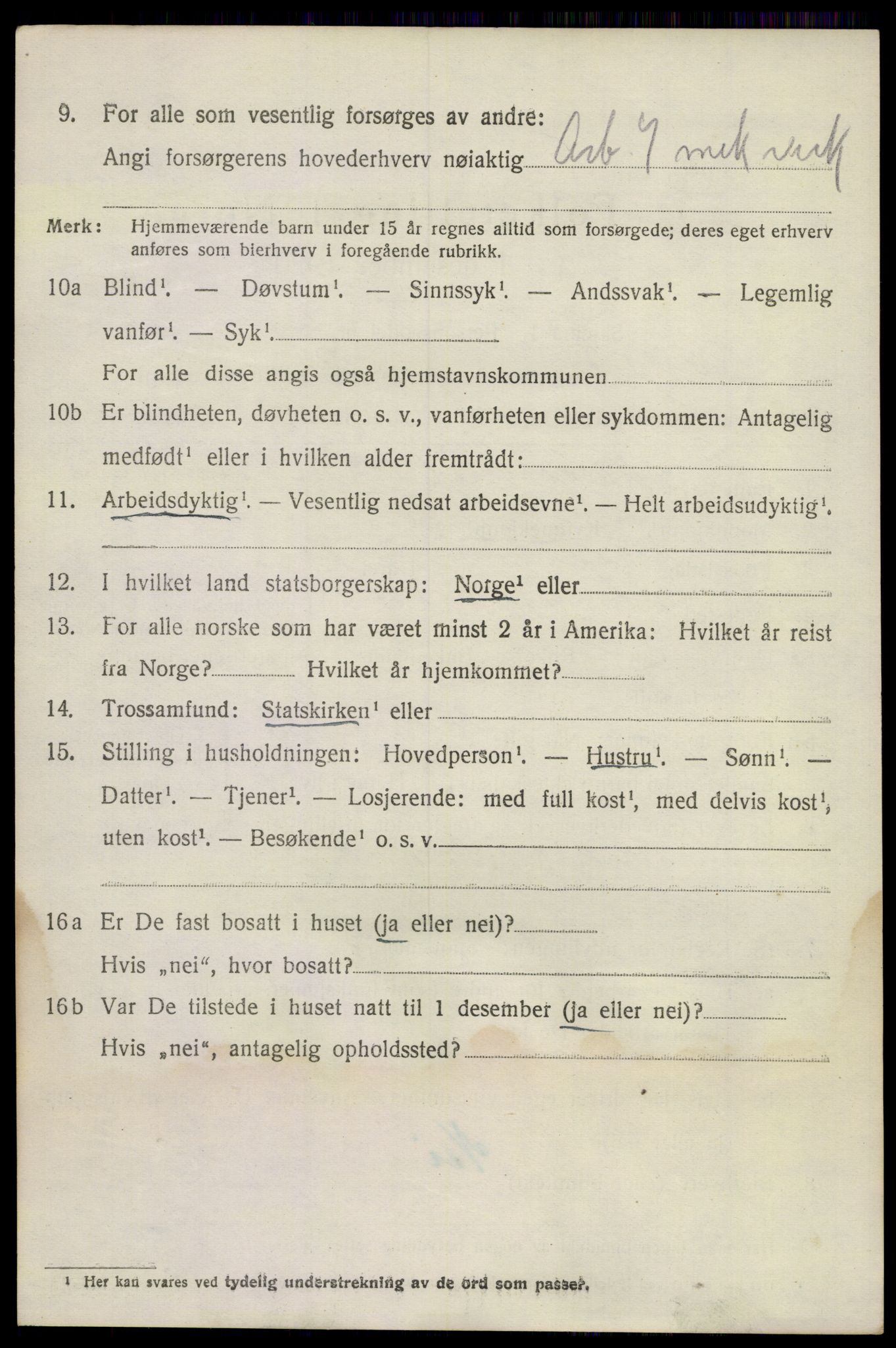 SAKO, 1920 census for Sandeherred, 1920, p. 11035