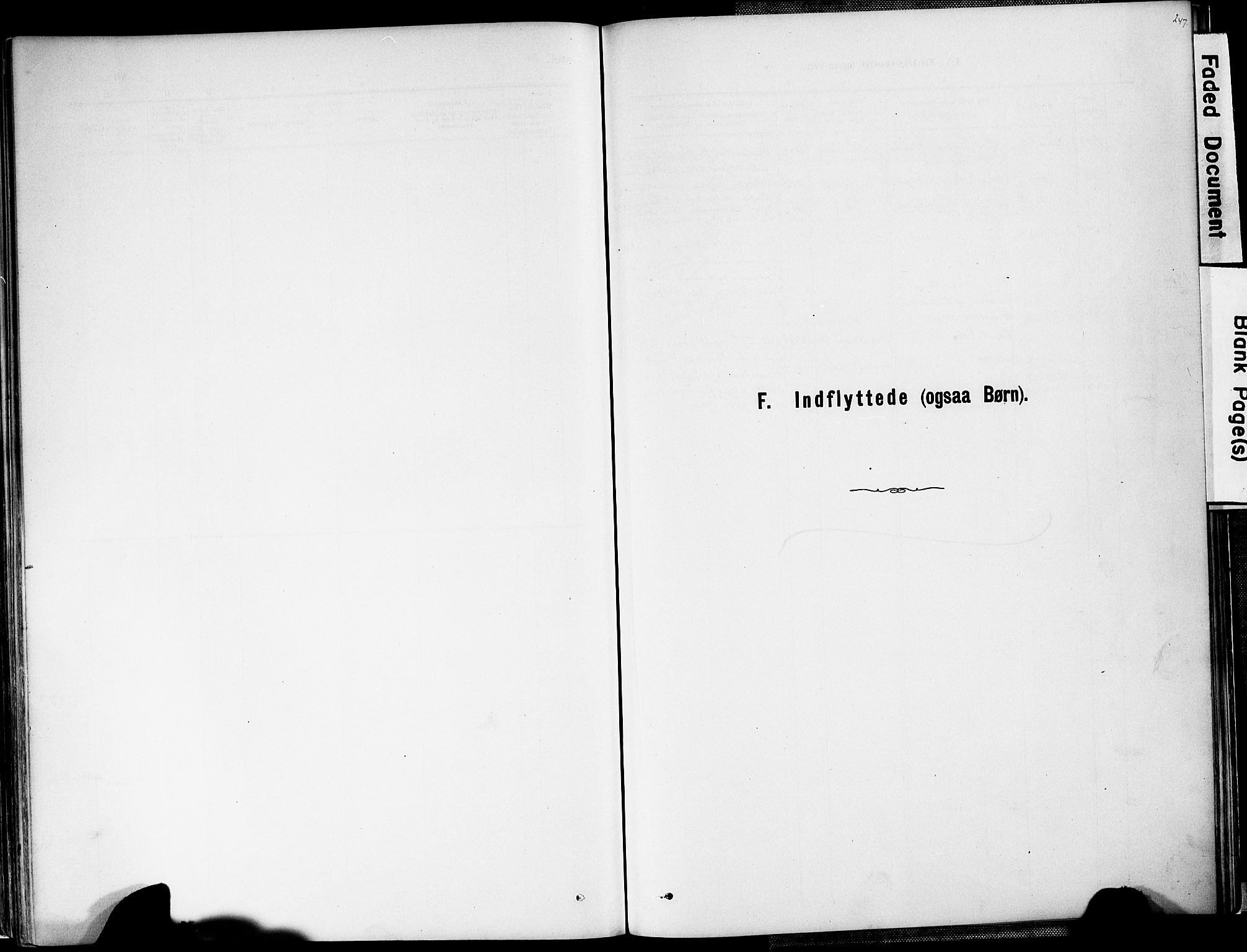 Valle sokneprestkontor, SAK/1111-0044/F/Fa/Fac/L0009: Parish register (official) no. A 9, 1882-1913, p. 247