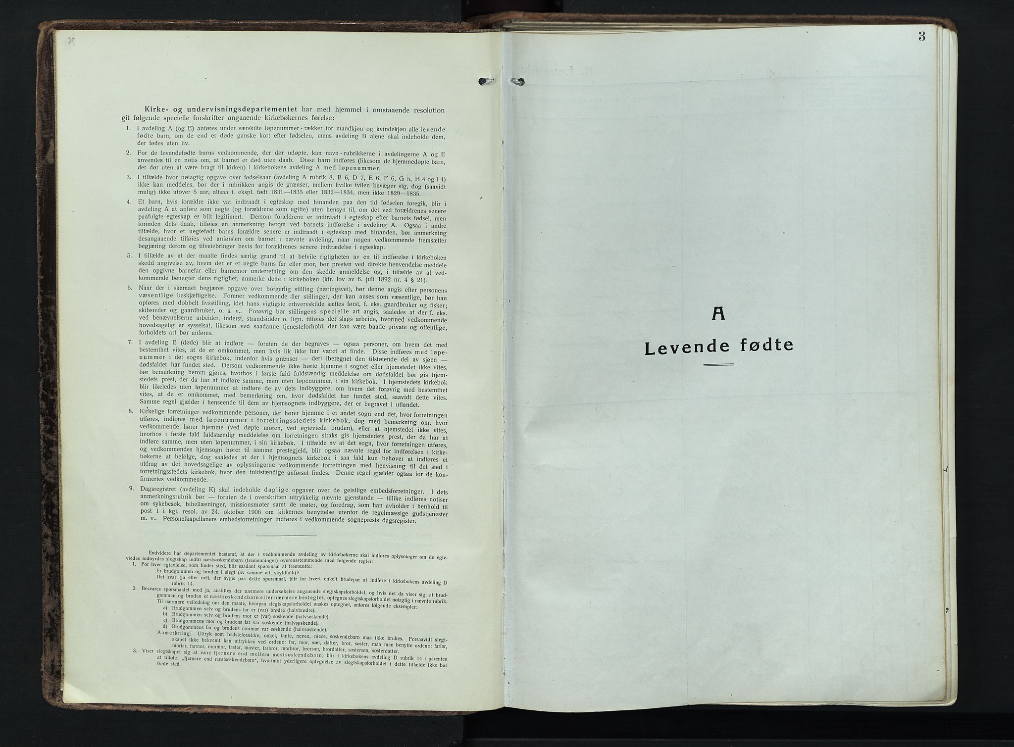 Løten prestekontor, SAH/PREST-022/K/Ka/L0012: Parish register (official) no. 12, 1918-1926, p. 3