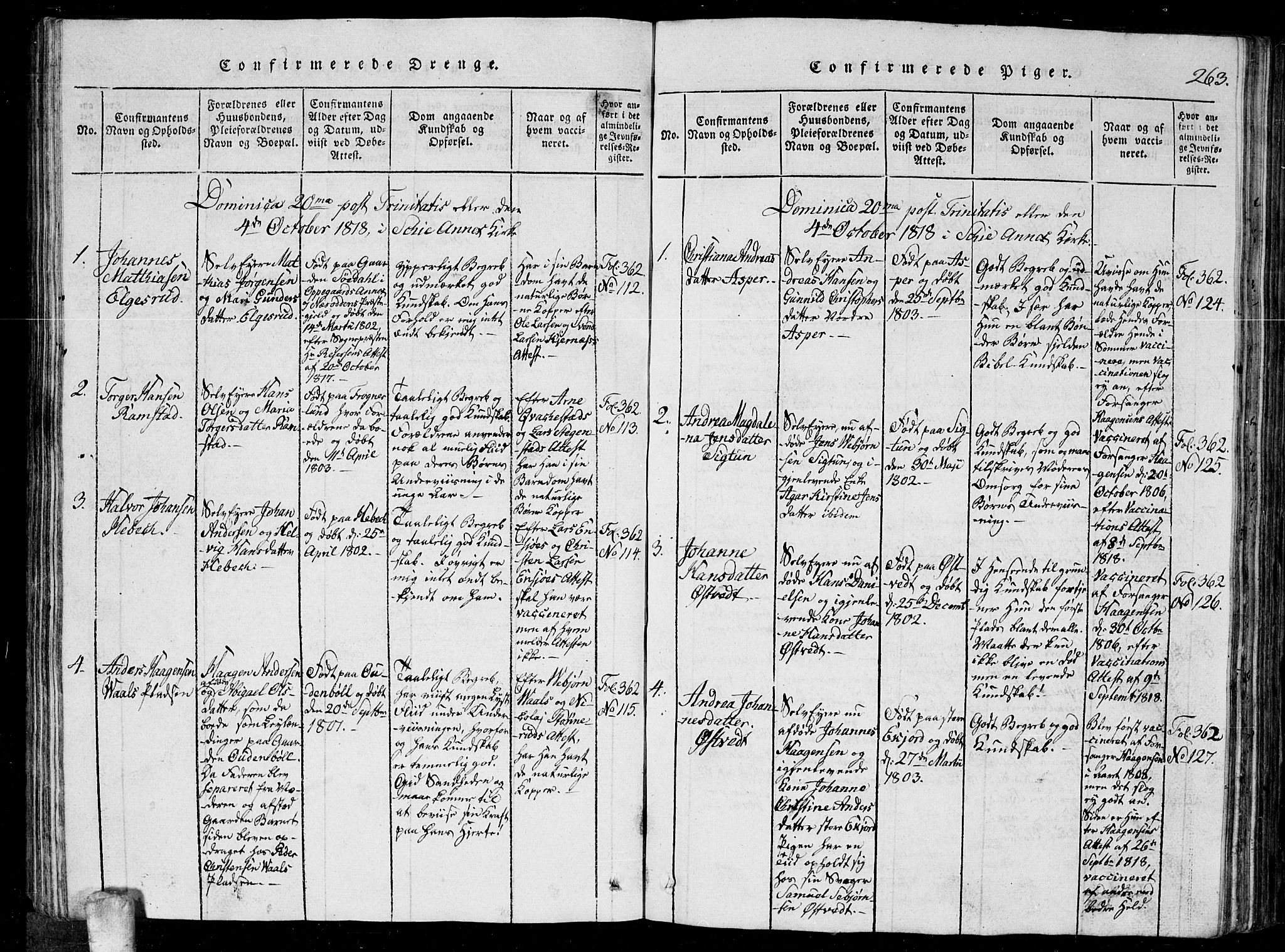 Kråkstad prestekontor Kirkebøker, AV/SAO-A-10125a/G/Ga/L0001: Parish register (copy) no. I 1, 1813-1824, p. 263