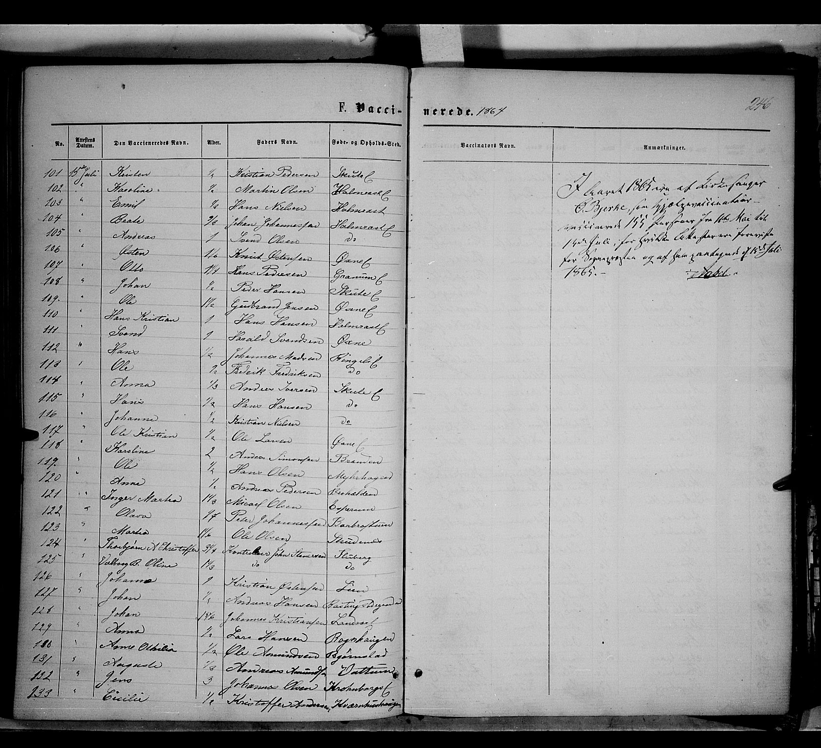 Søndre Land prestekontor, AV/SAH-PREST-122/K/L0001: Parish register (official) no. 1, 1860-1877, p. 246