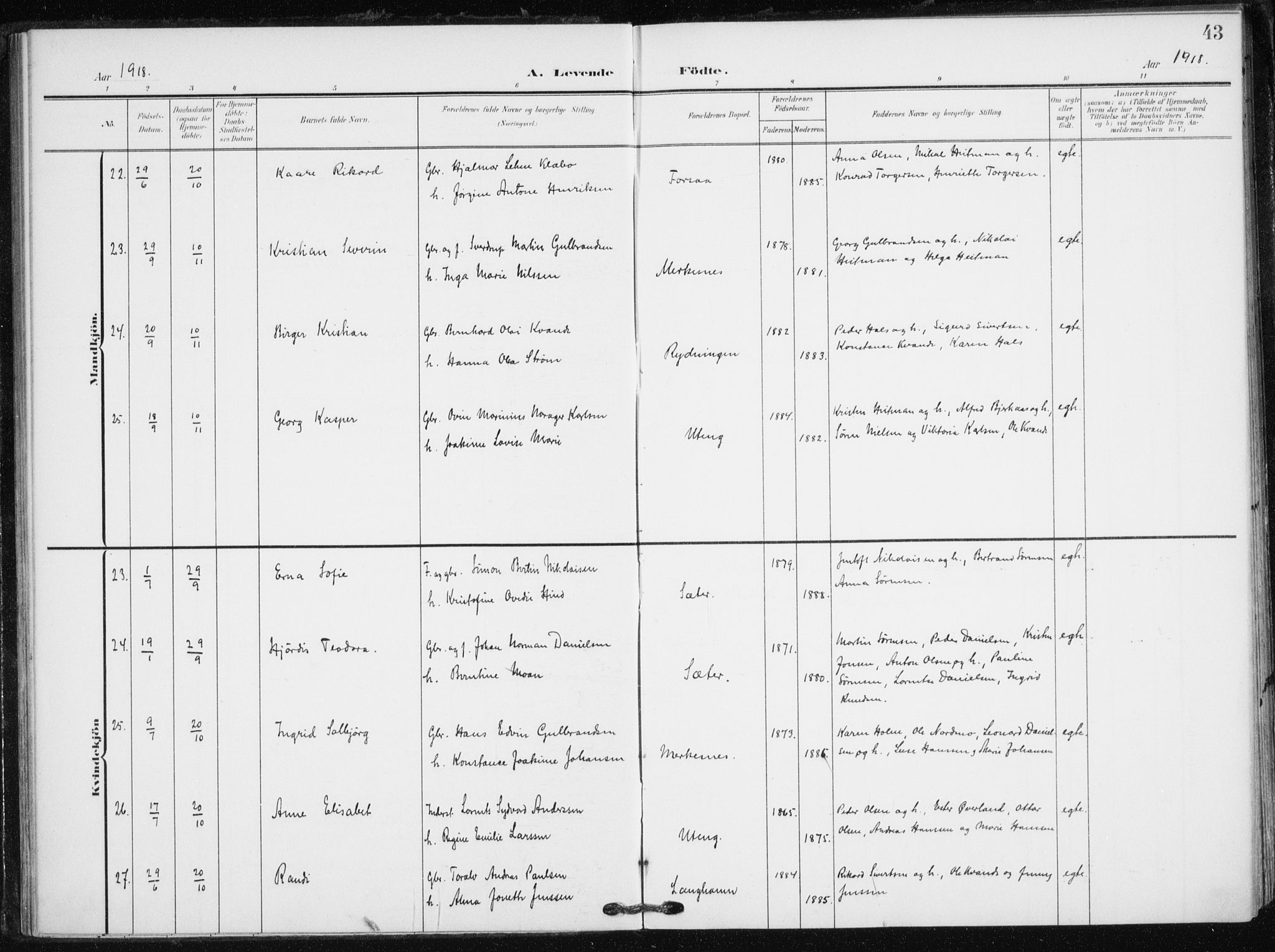 Tranøy sokneprestkontor, AV/SATØ-S-1313/I/Ia/Iaa/L0013kirke: Parish register (official) no. 13, 1905-1922, p. 43