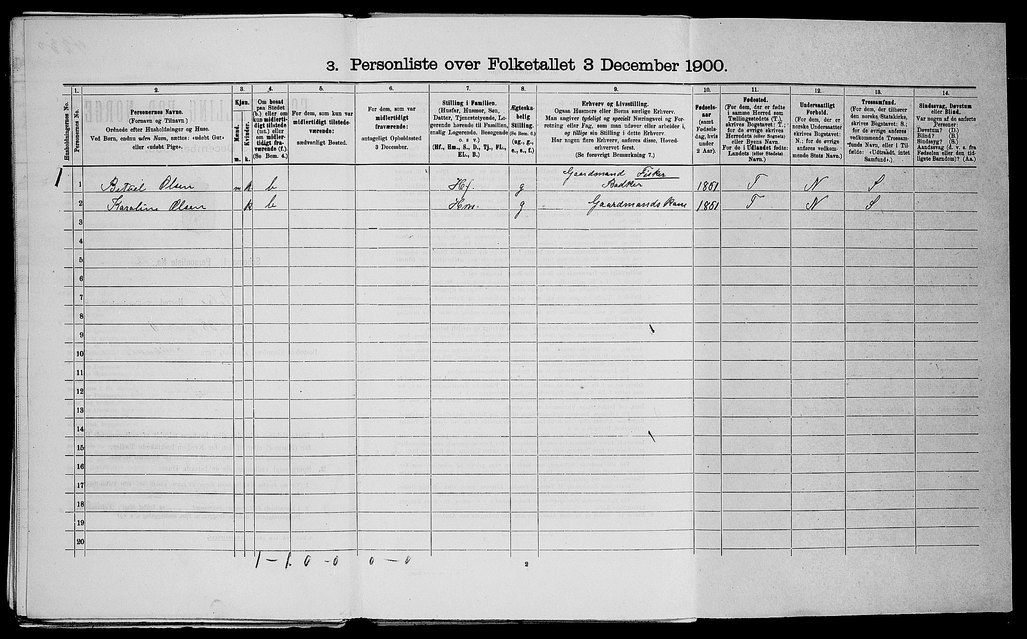 SAST, 1900 census for Jelsa, 1900, p. 502