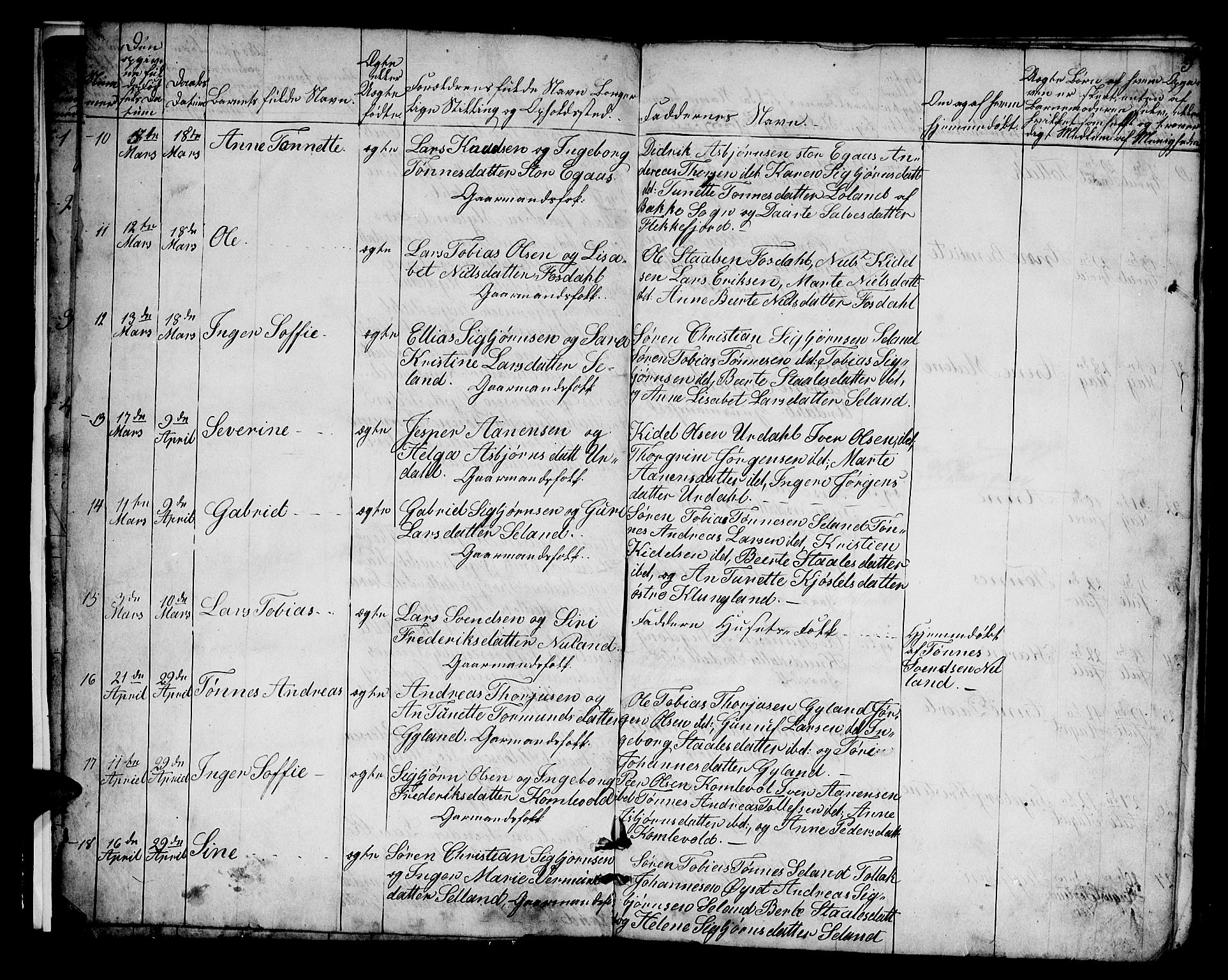 Bakke sokneprestkontor, SAK/1111-0002/F/Fb/Fbb/L0002: Parish register (copy) no. B 2, 1849-1878, p. 3