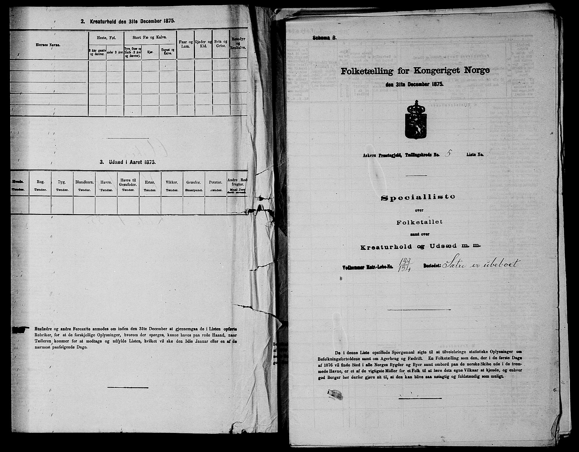 RA, 1875 census for 0220P Asker, 1875, p. 1028