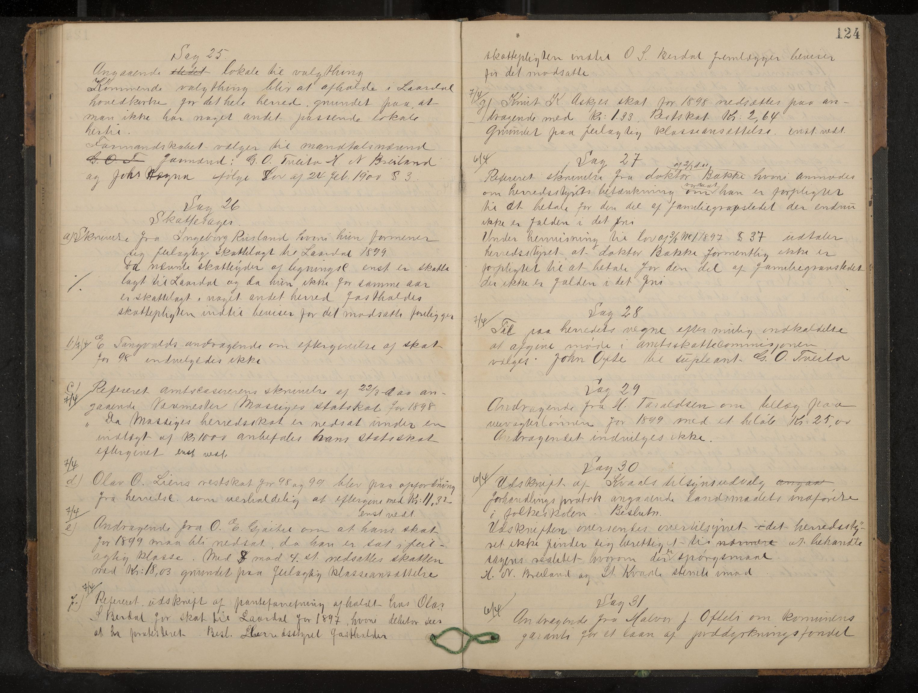 Lårdal formannskap og sentraladministrasjon, IKAK/0833021/A/L0003: Møtebok, 1893-1901, p. 124