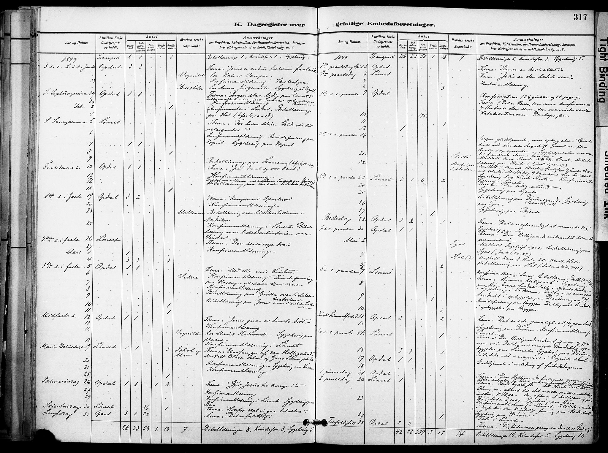 Ministerialprotokoller, klokkerbøker og fødselsregistre - Sør-Trøndelag, SAT/A-1456/678/L0902: Parish register (official) no. 678A11, 1895-1911, p. 317