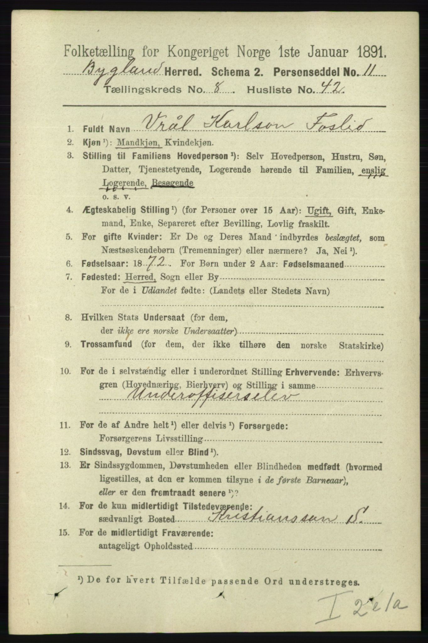 RA, 1891 census for 0938 Bygland, 1891, p. 2175