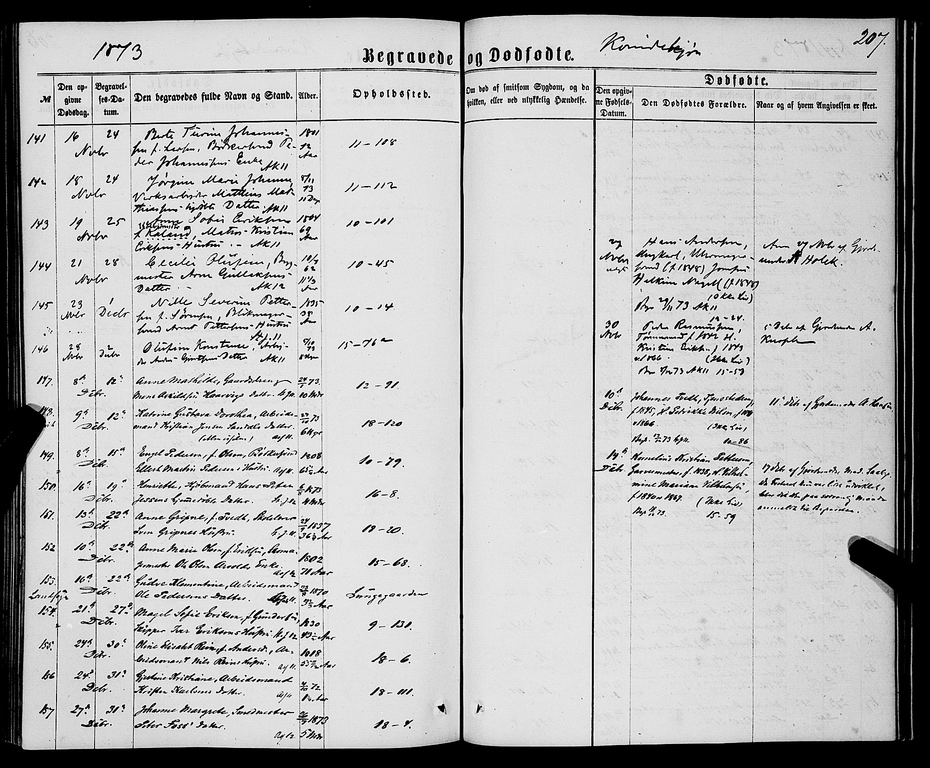 Domkirken sokneprestembete, SAB/A-74801/H/Haa/L0042: Parish register (official) no. E 3, 1863-1876, p. 207