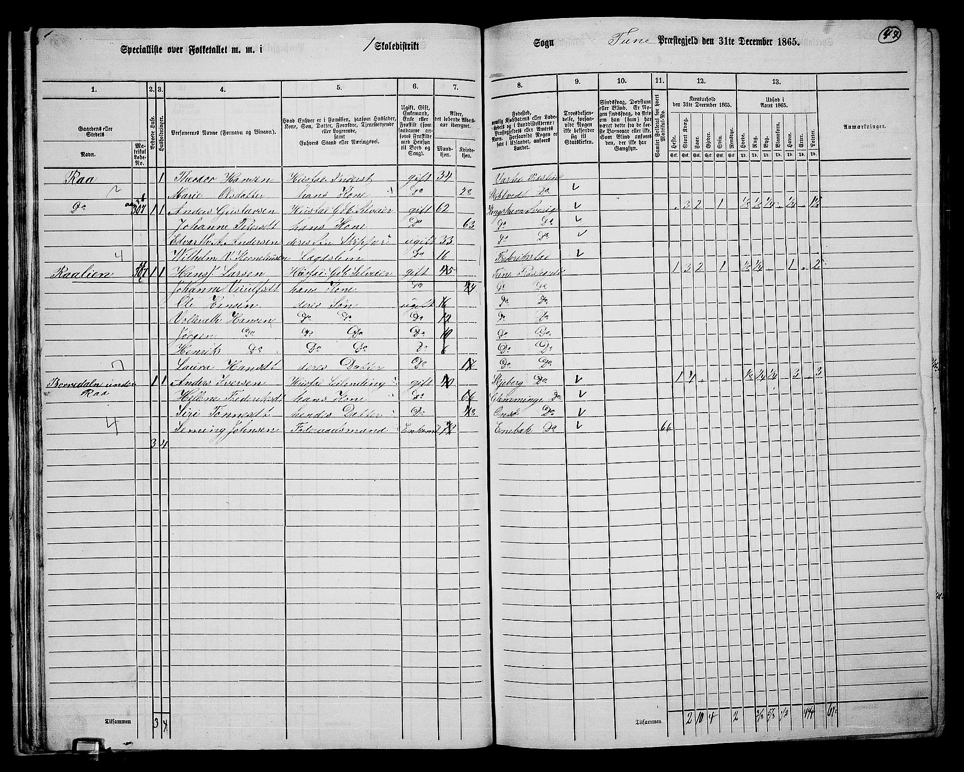 RA, 1865 census for Tune, 1865, p. 44