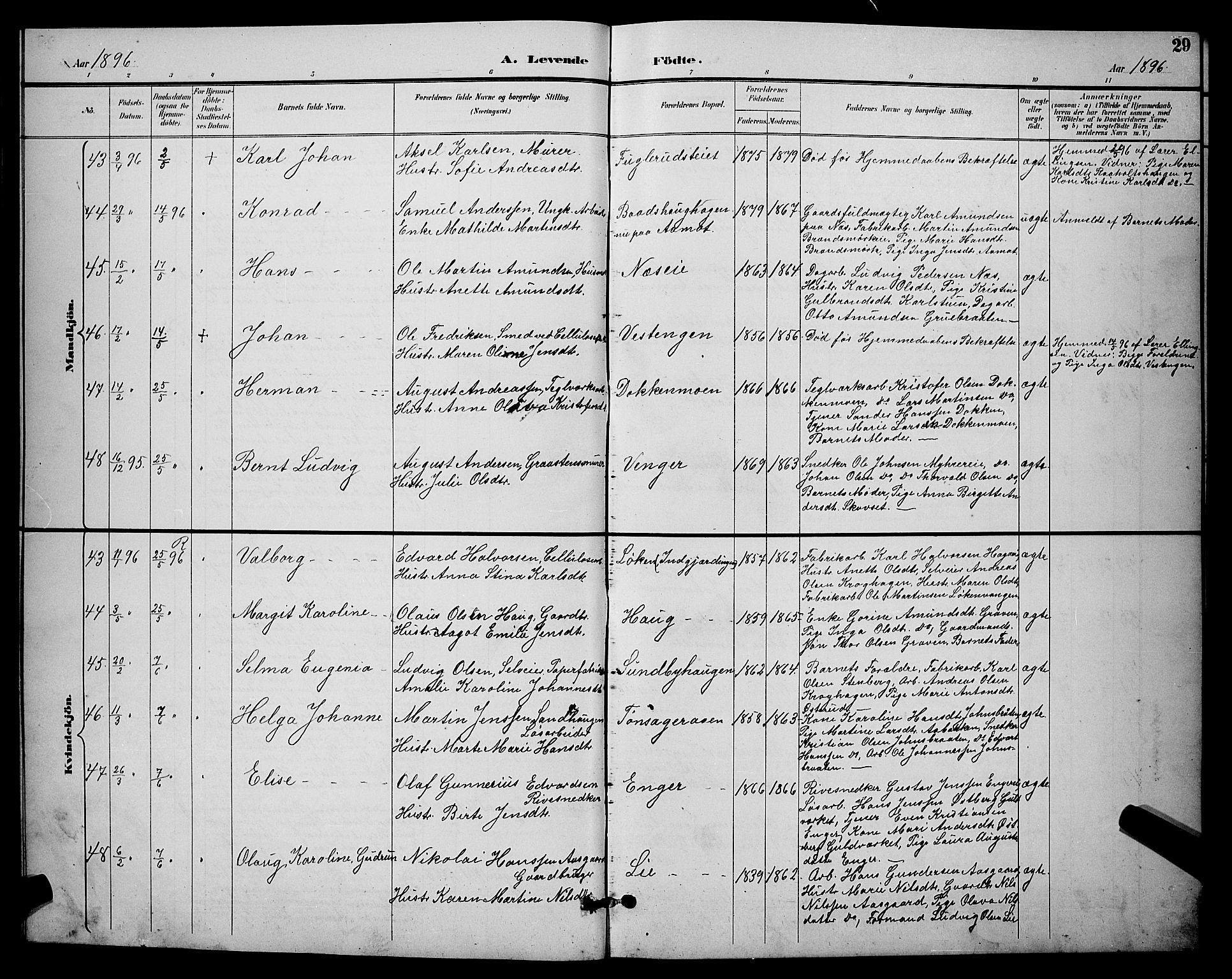 Eidsvoll prestekontor Kirkebøker, SAO/A-10888/G/Ga/L0006: Parish register (copy) no. I 6, 1895-1901, p. 29