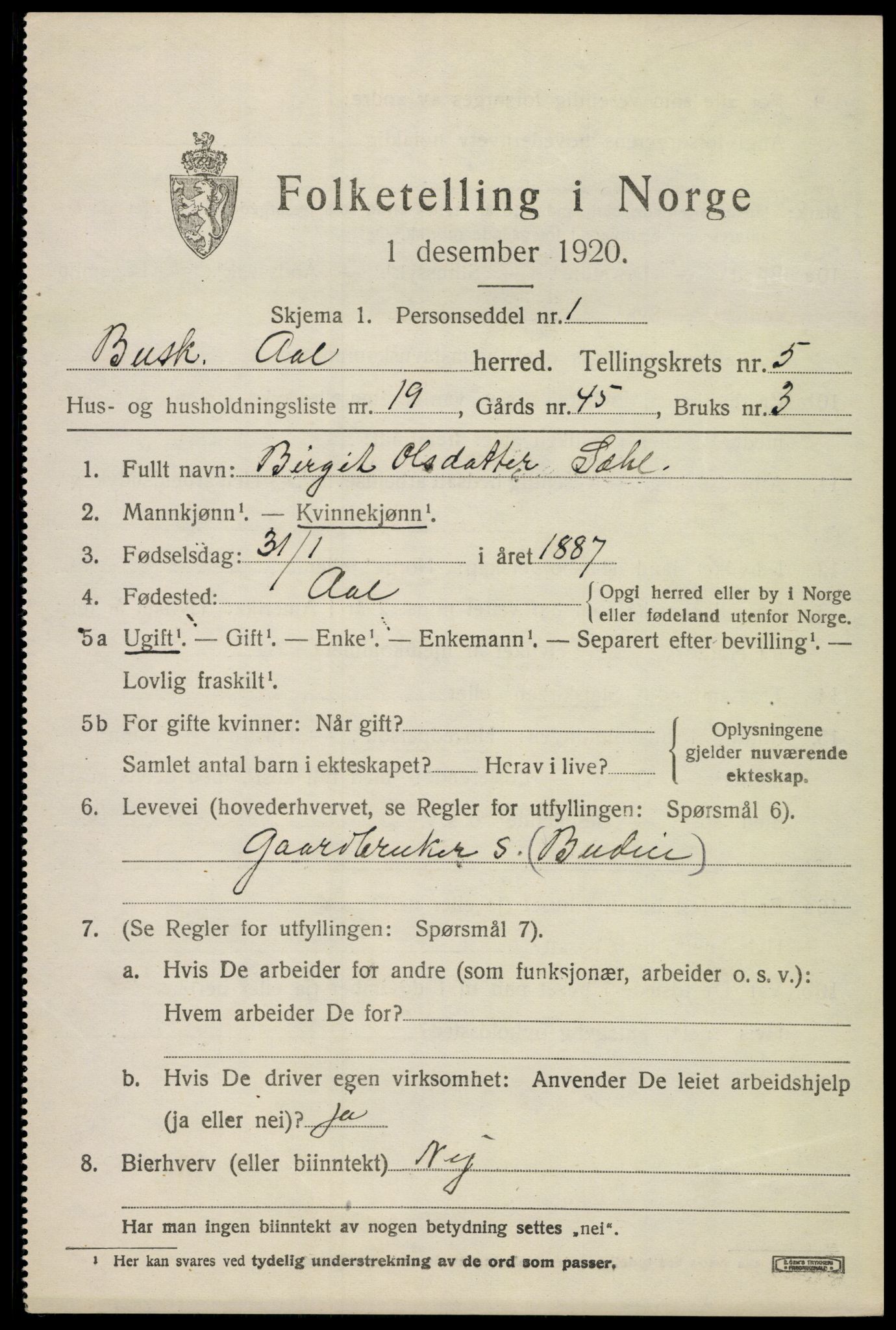 SAKO, 1920 census for Ål, 1920, p. 4016