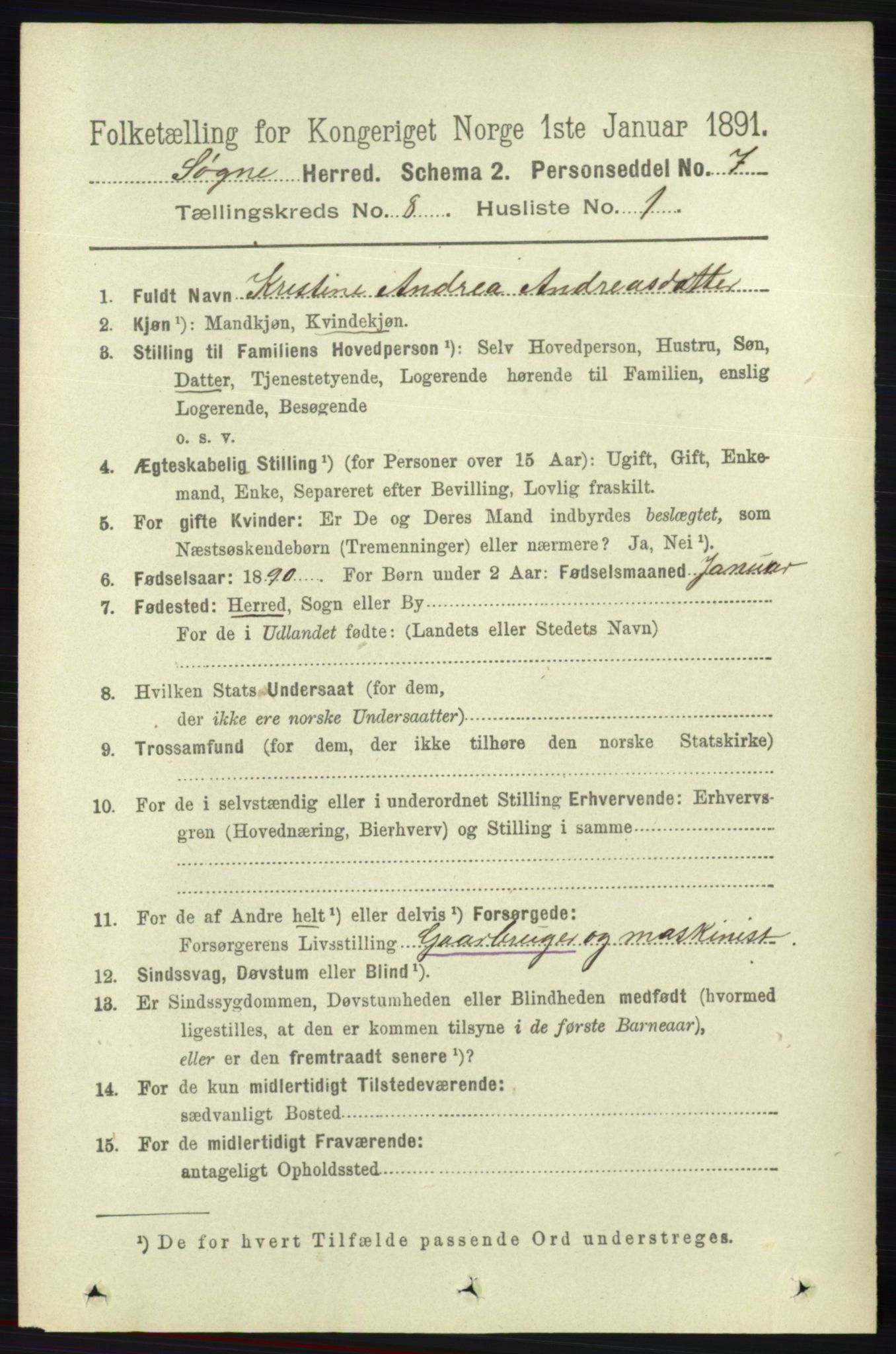 RA, 1891 census for 1018 Søgne, 1891, p. 2217