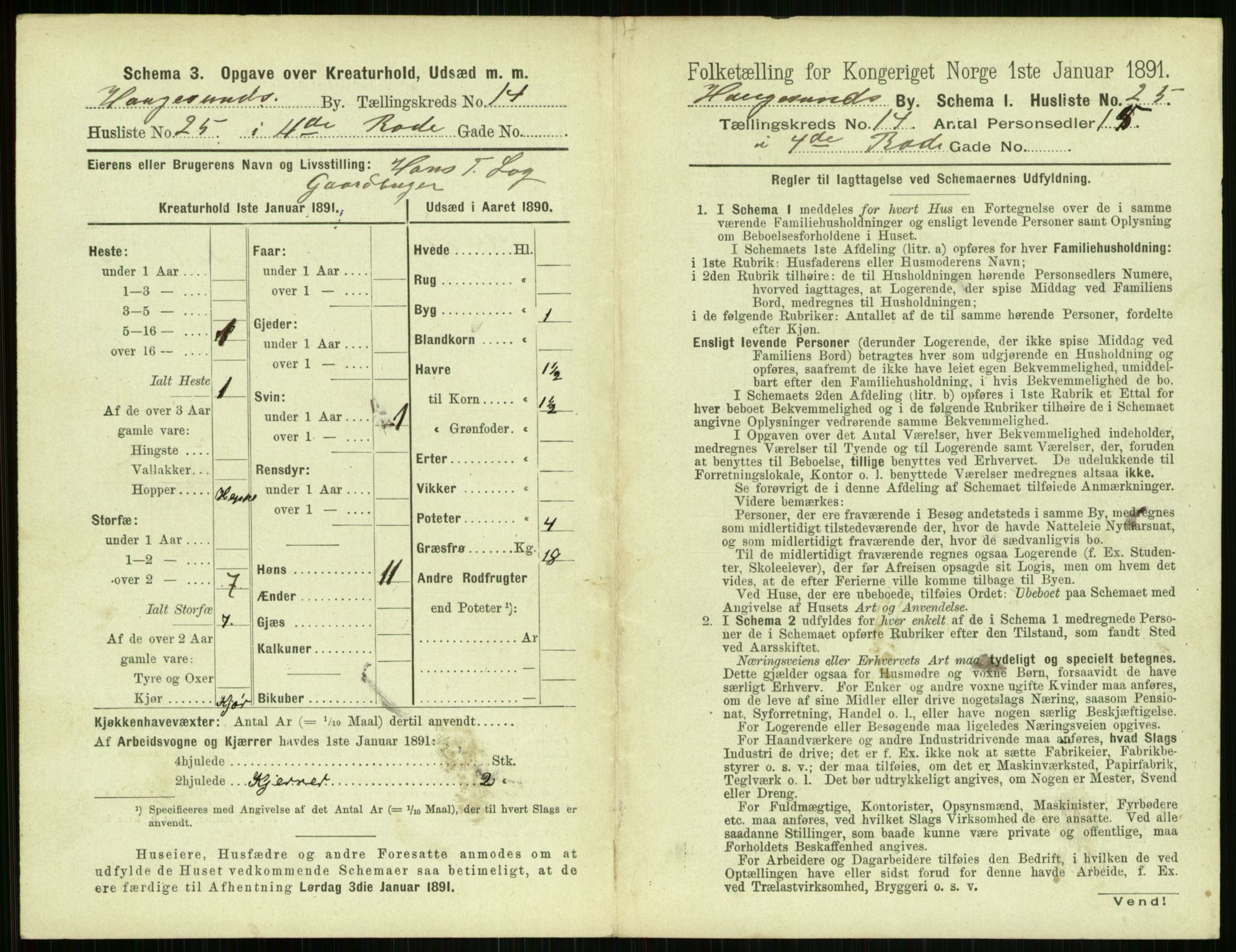 RA, 1891 census for 1106 Haugesund, 1891, p. 956