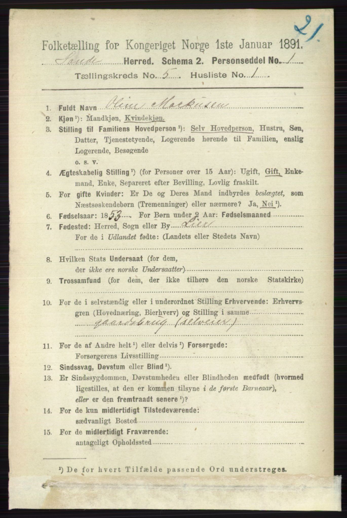 RA, 1891 census for 0713 Sande, 1891, p. 2138
