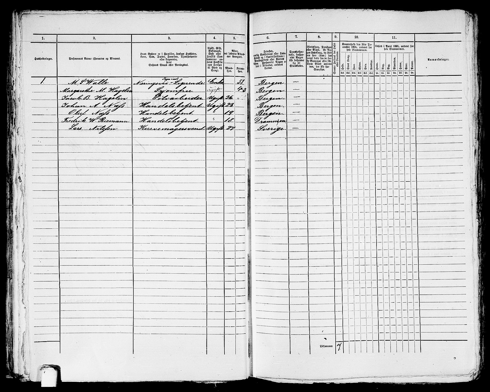 RA, 1865 census for Bergen, 1865, p. 1141