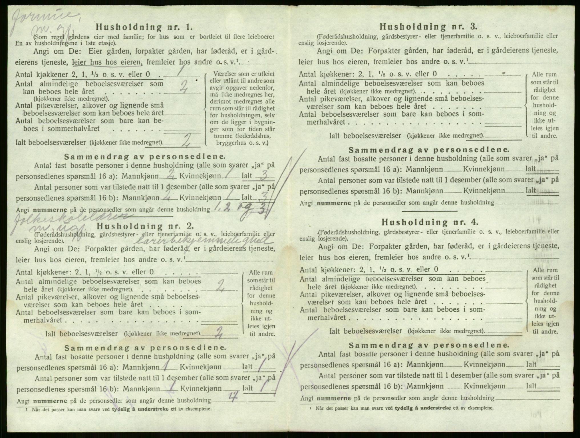 SAKO, 1920 census for Sande, 1920, p. 1205
