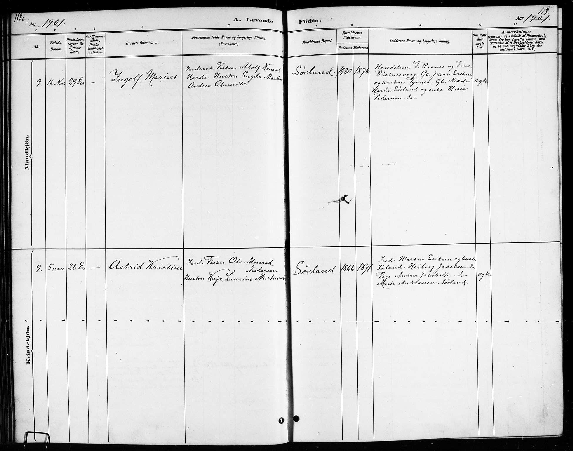 Ministerialprotokoller, klokkerbøker og fødselsregistre - Nordland, AV/SAT-A-1459/807/L0123: Parish register (copy) no. 807C01, 1884-1910, p. 118-119