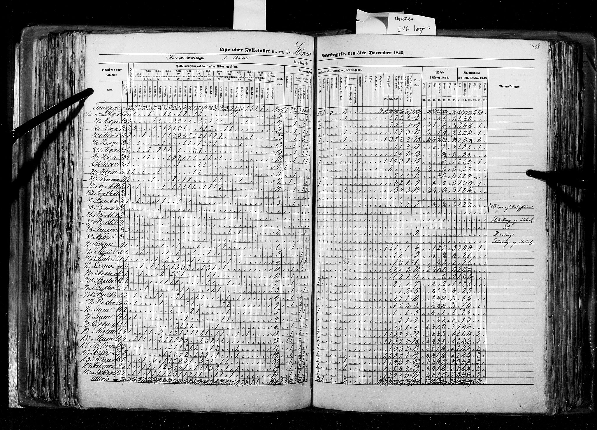 RA, Census 1845, vol. 8: Romsdal amt og Søndre Trondhjems amt, 1845, p. 308