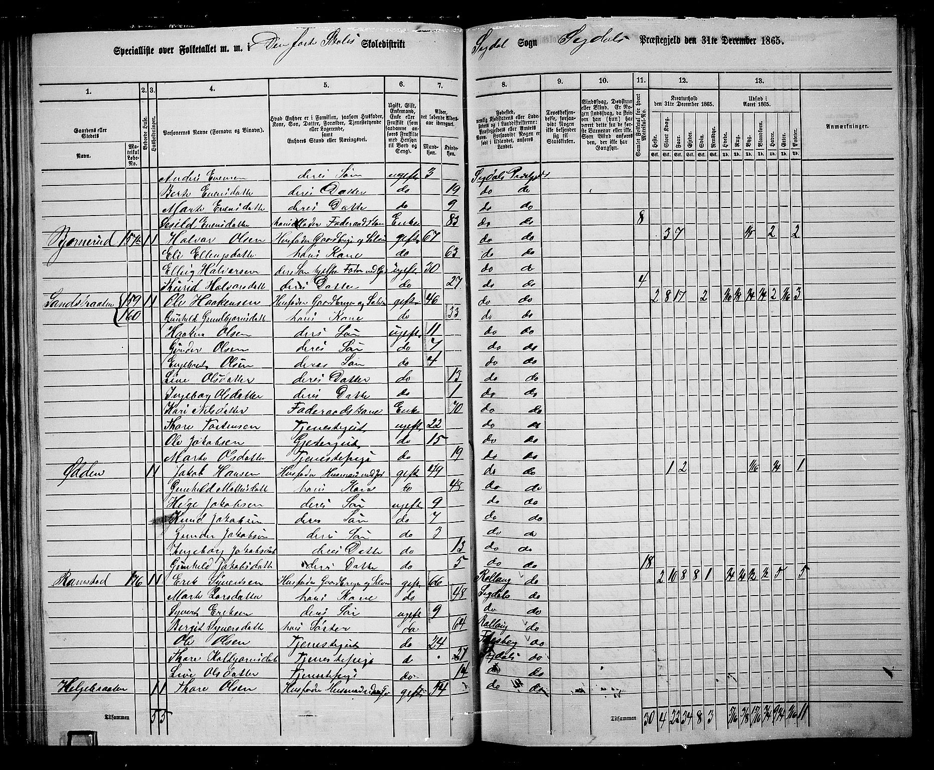 RA, 1865 census for Sigdal, 1865, p. 88