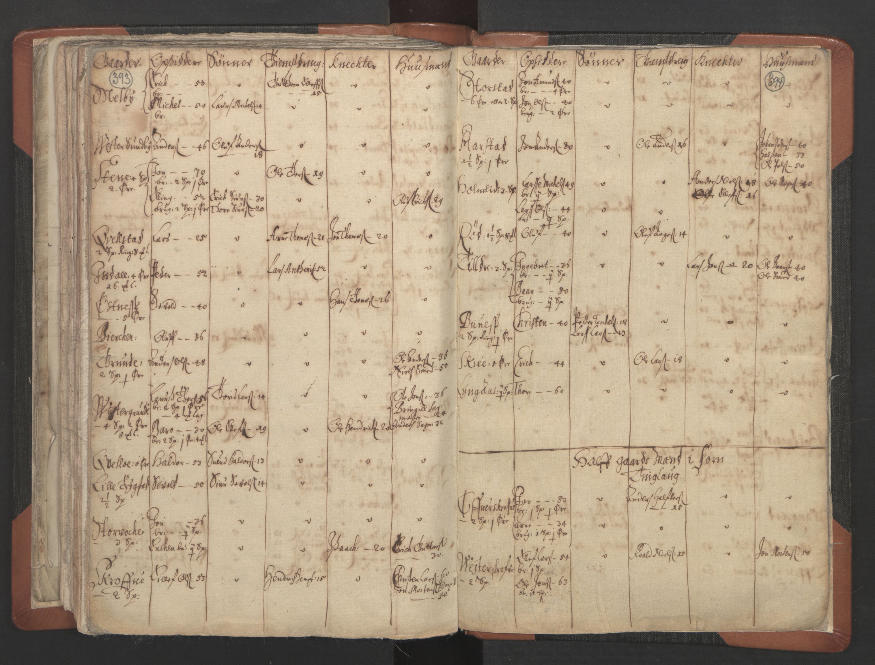 RA, Vicar's Census 1664-1666, no. 32: Innherad deanery, 1664-1666, p. 393-394