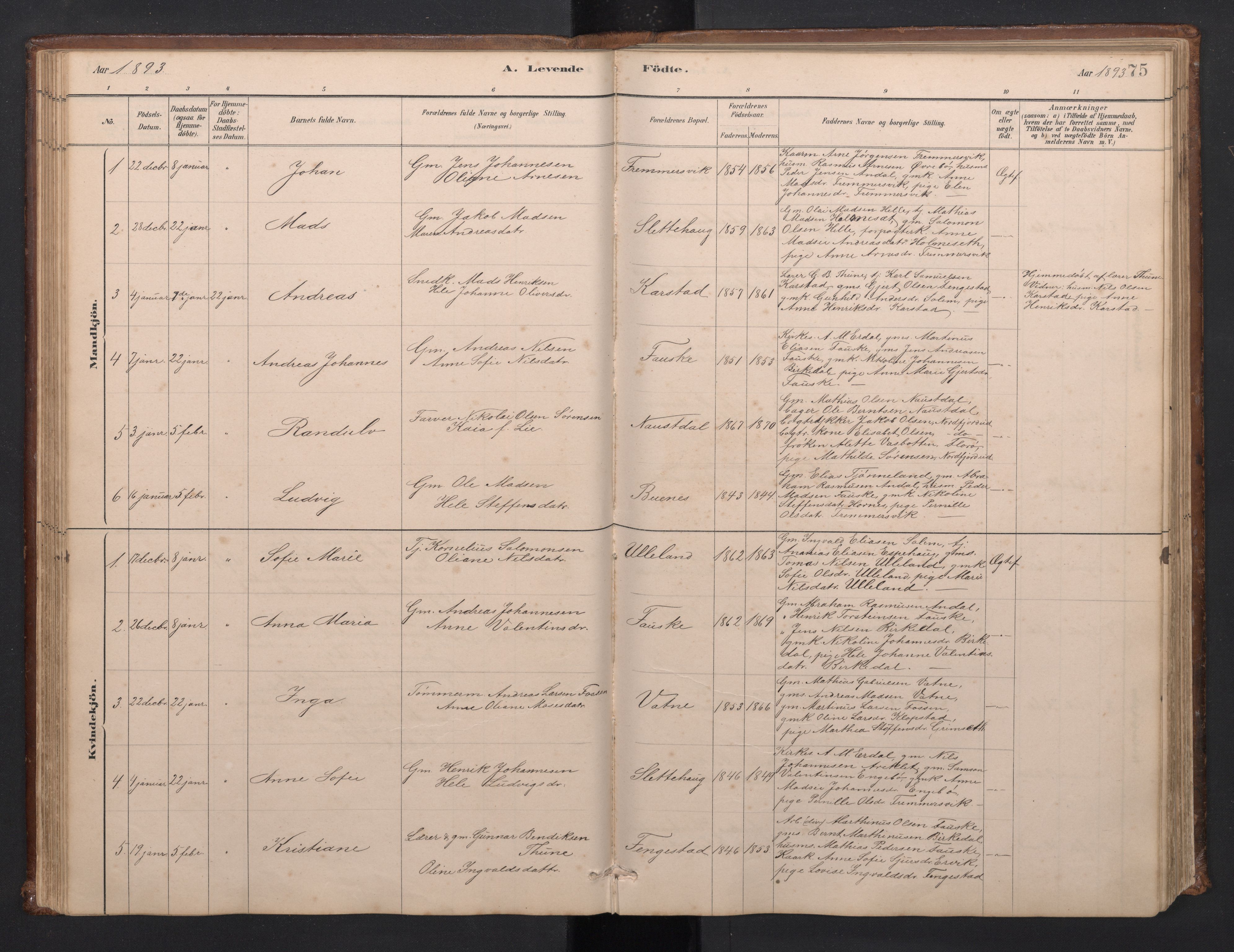 Førde sokneprestembete, SAB/A-79901/H/Hab/Habd/L0003: Parish register (copy) no. D 3, 1881-1897, p. 74b-75a