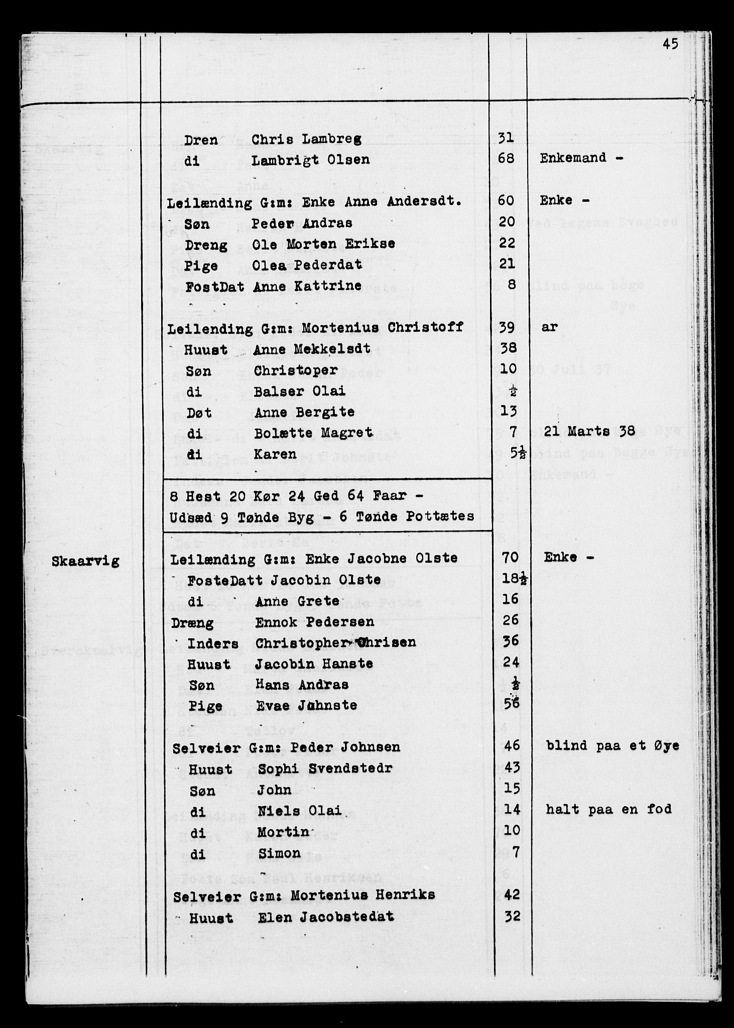 SATØ, Census 1845 for Ibestad, 1845, p. 45