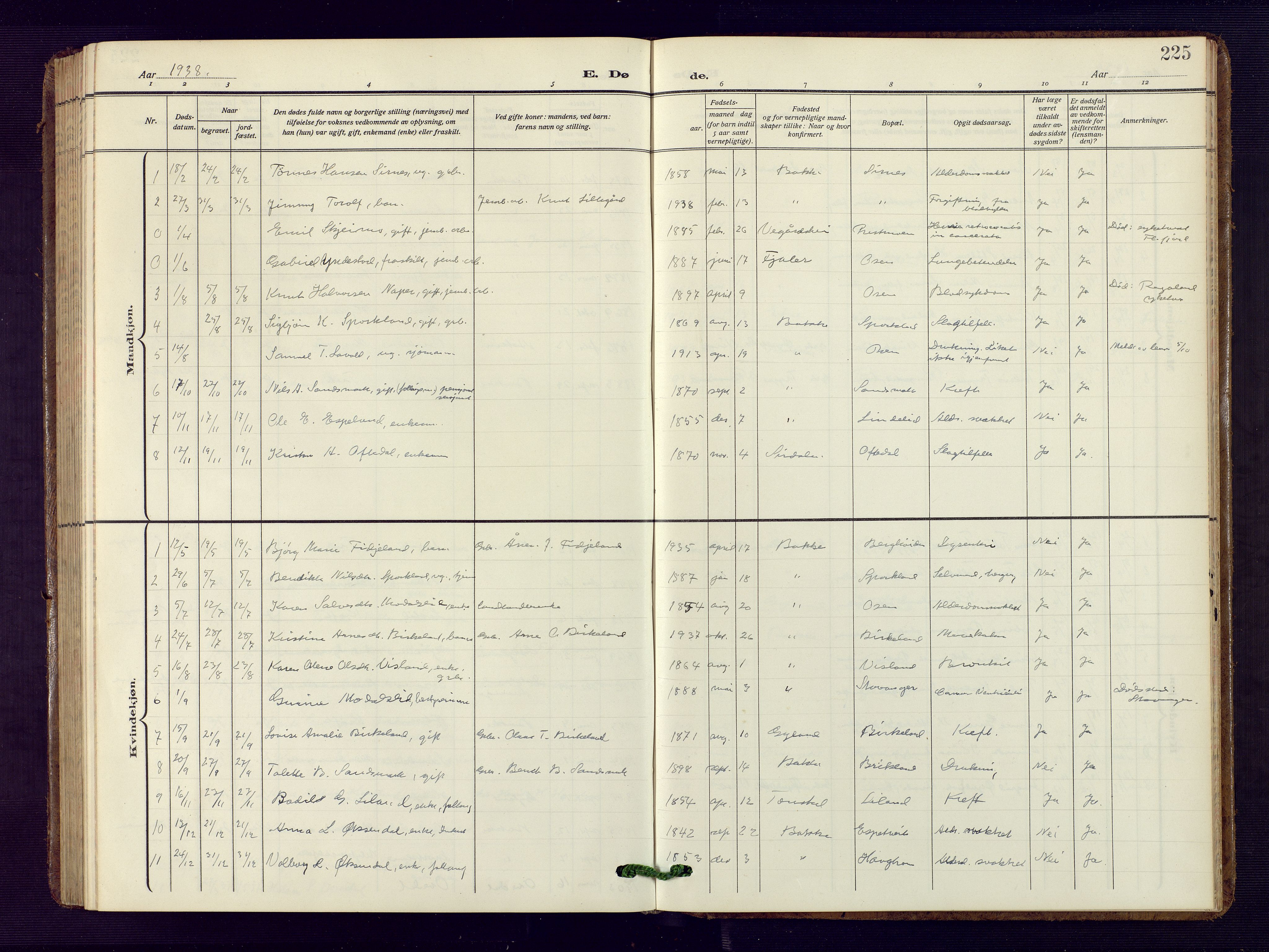 Bakke sokneprestkontor, SAK/1111-0002/F/Fb/Fba/L0004: Parish register (copy) no. B 4, 1911-1946, p. 225