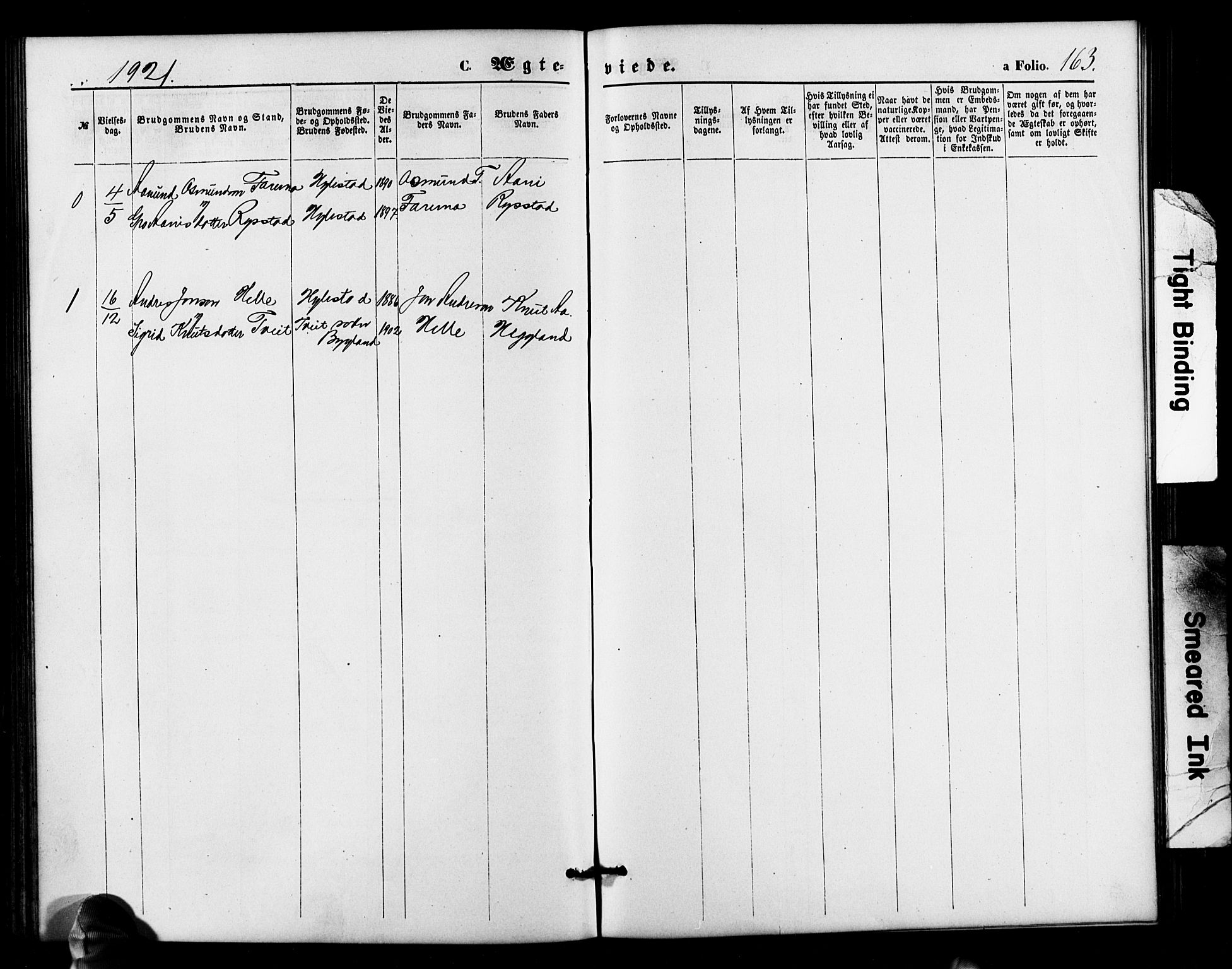 Valle sokneprestkontor, SAK/1111-0044/F/Fb/Fbb/L0002: Parish register (copy) no. B 2, 1875-1921, p. 163