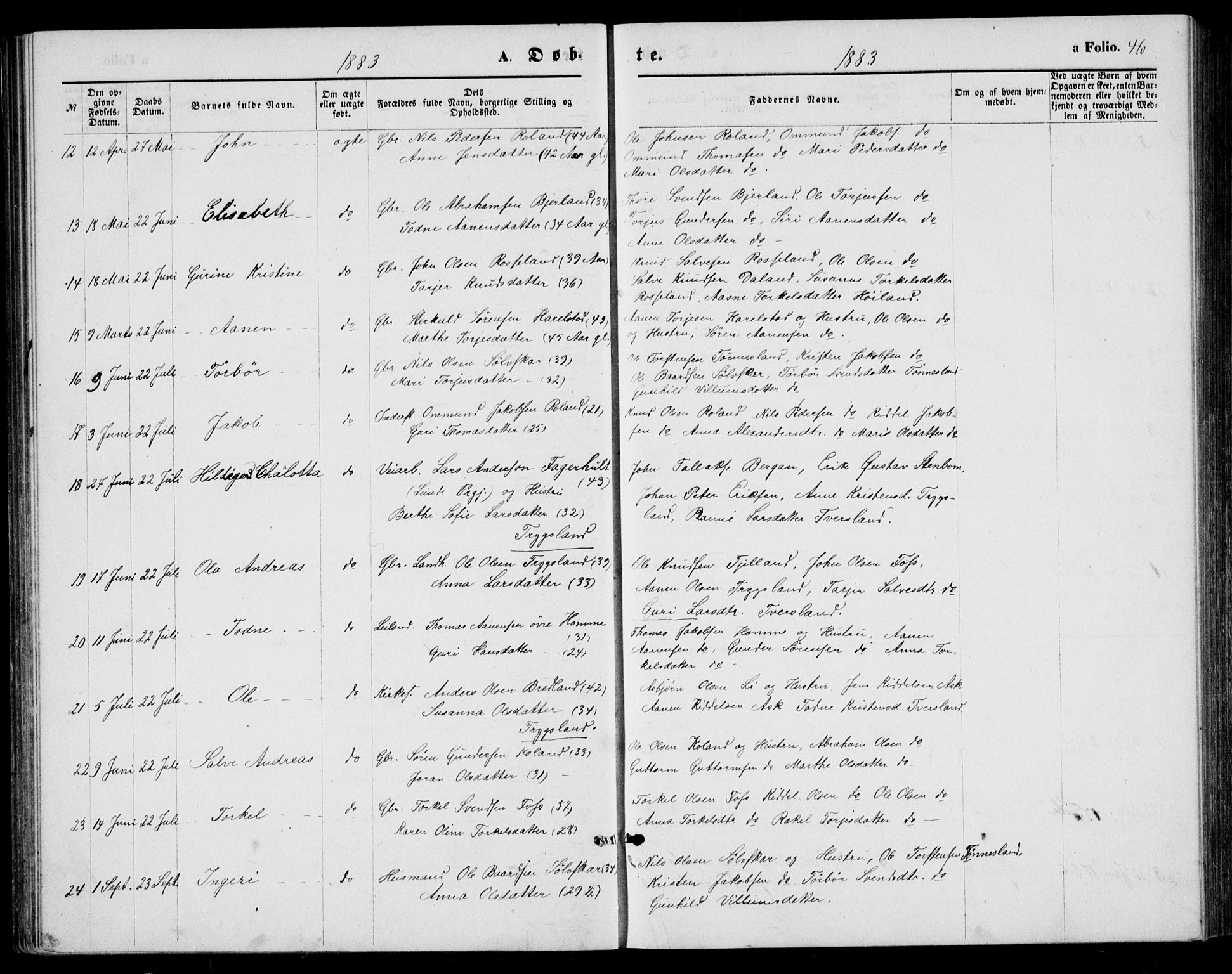 Bjelland sokneprestkontor, AV/SAK-1111-0005/F/Fb/Fba/L0004: Parish register (copy) no. B 4, 1869-1886, p. 46