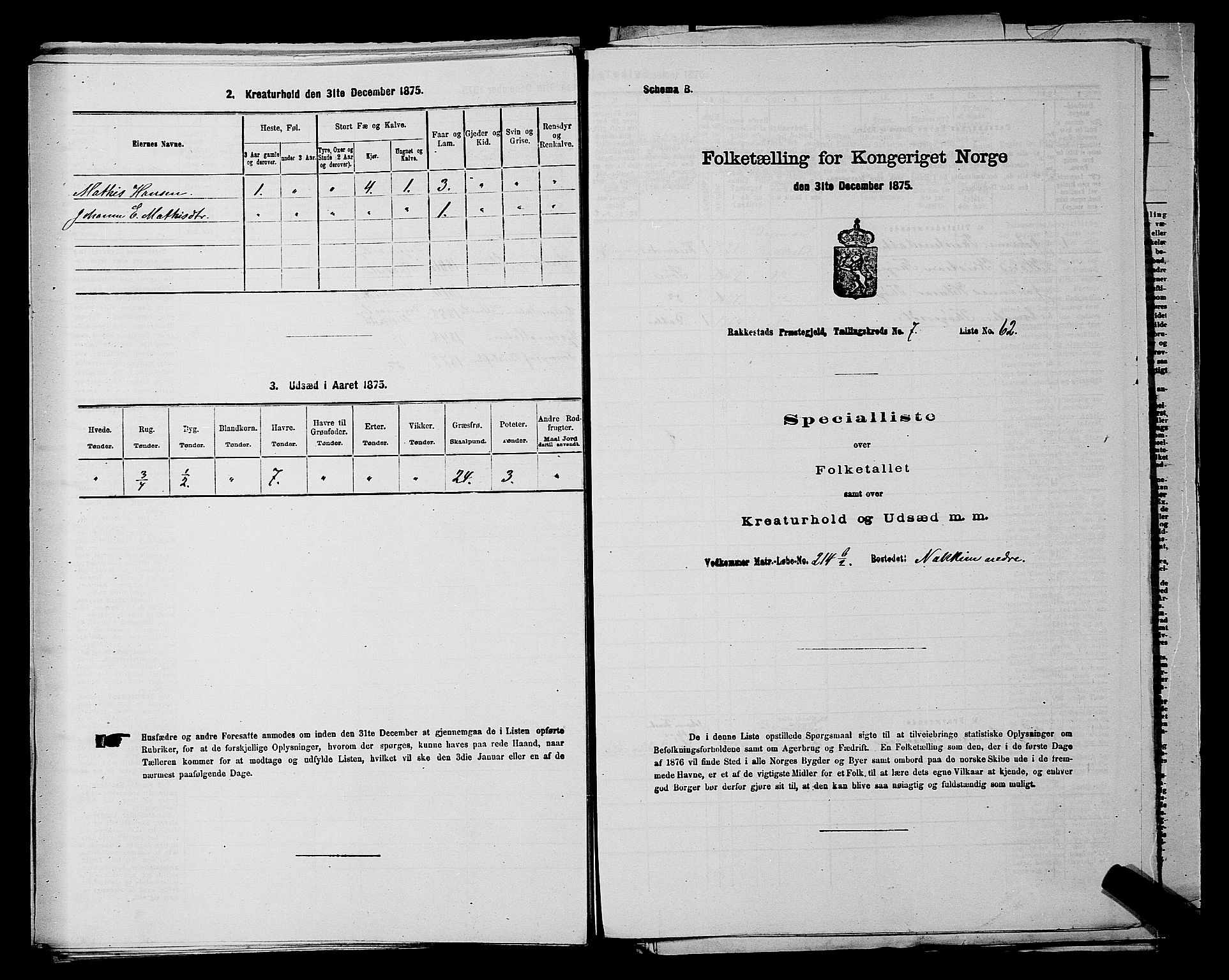 RA, 1875 census for 0128P Rakkestad, 1875, p. 916