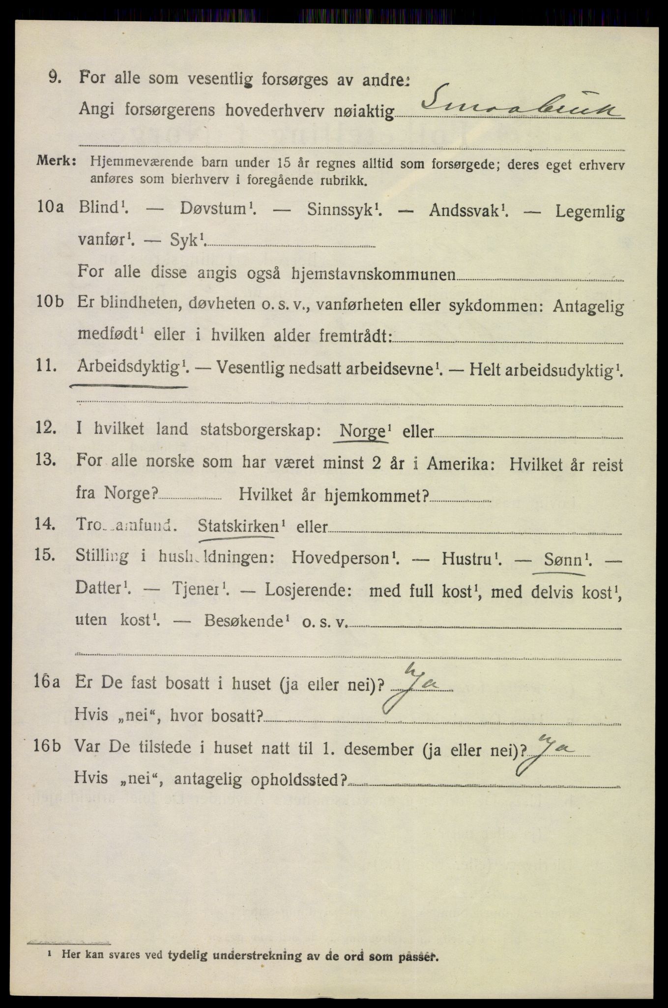 SAH, 1920 census for Lom, 1920, p. 3809