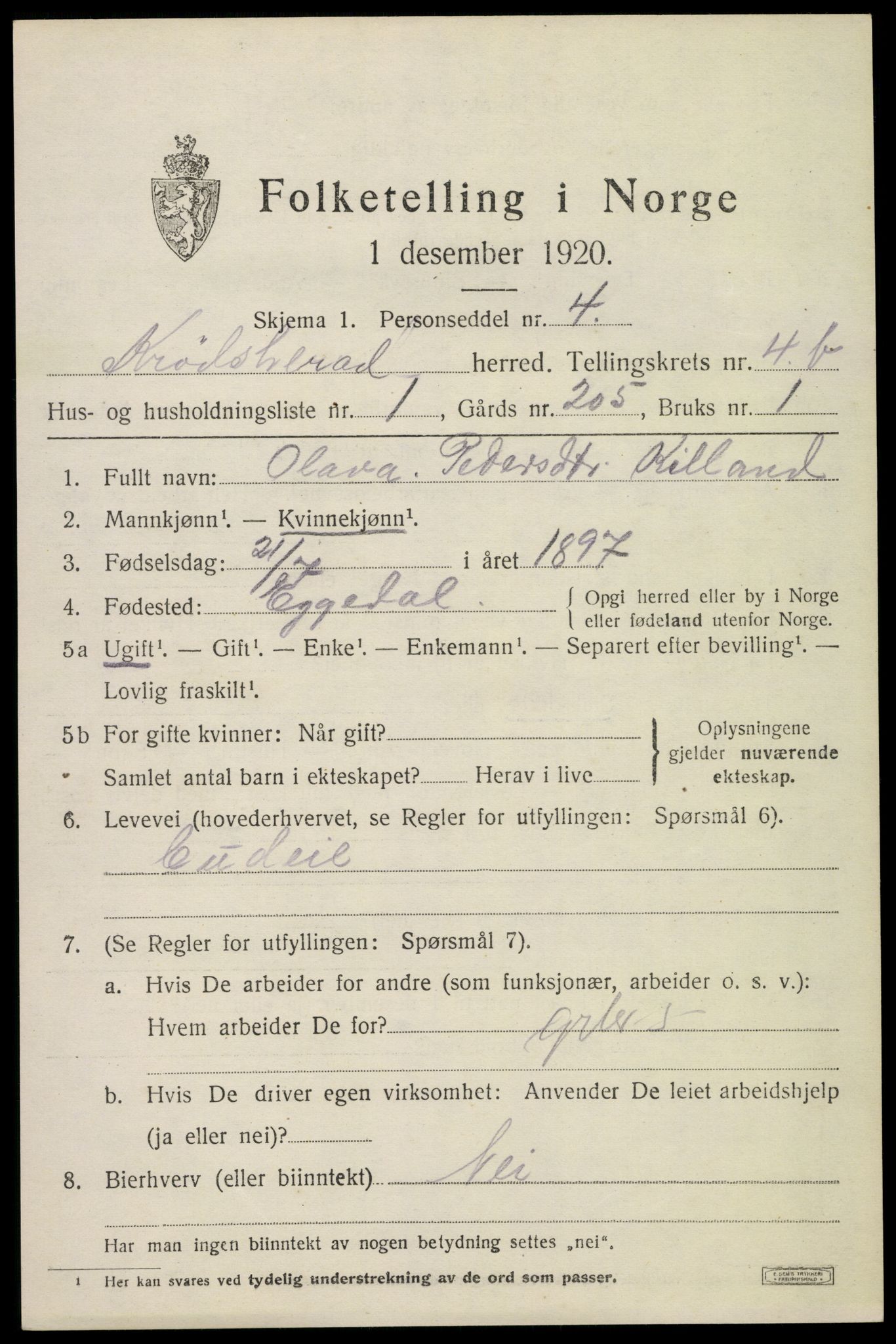 SAKO, 1920 census for Krødsherad, 1920, p. 4953