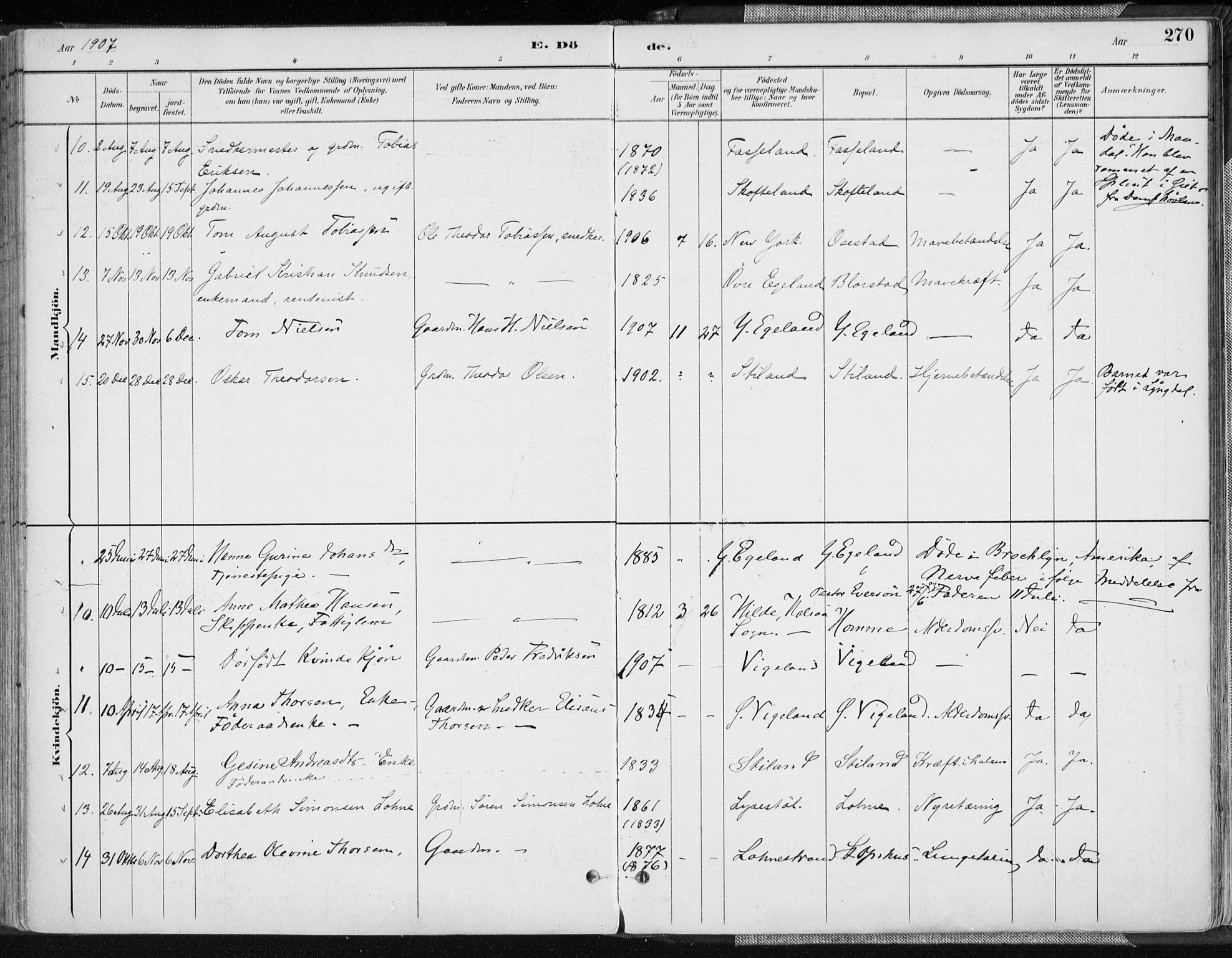 Sør-Audnedal sokneprestkontor, AV/SAK-1111-0039/F/Fa/Fab/L0010: Parish register (official) no. A 10, 1892-1913, p. 270