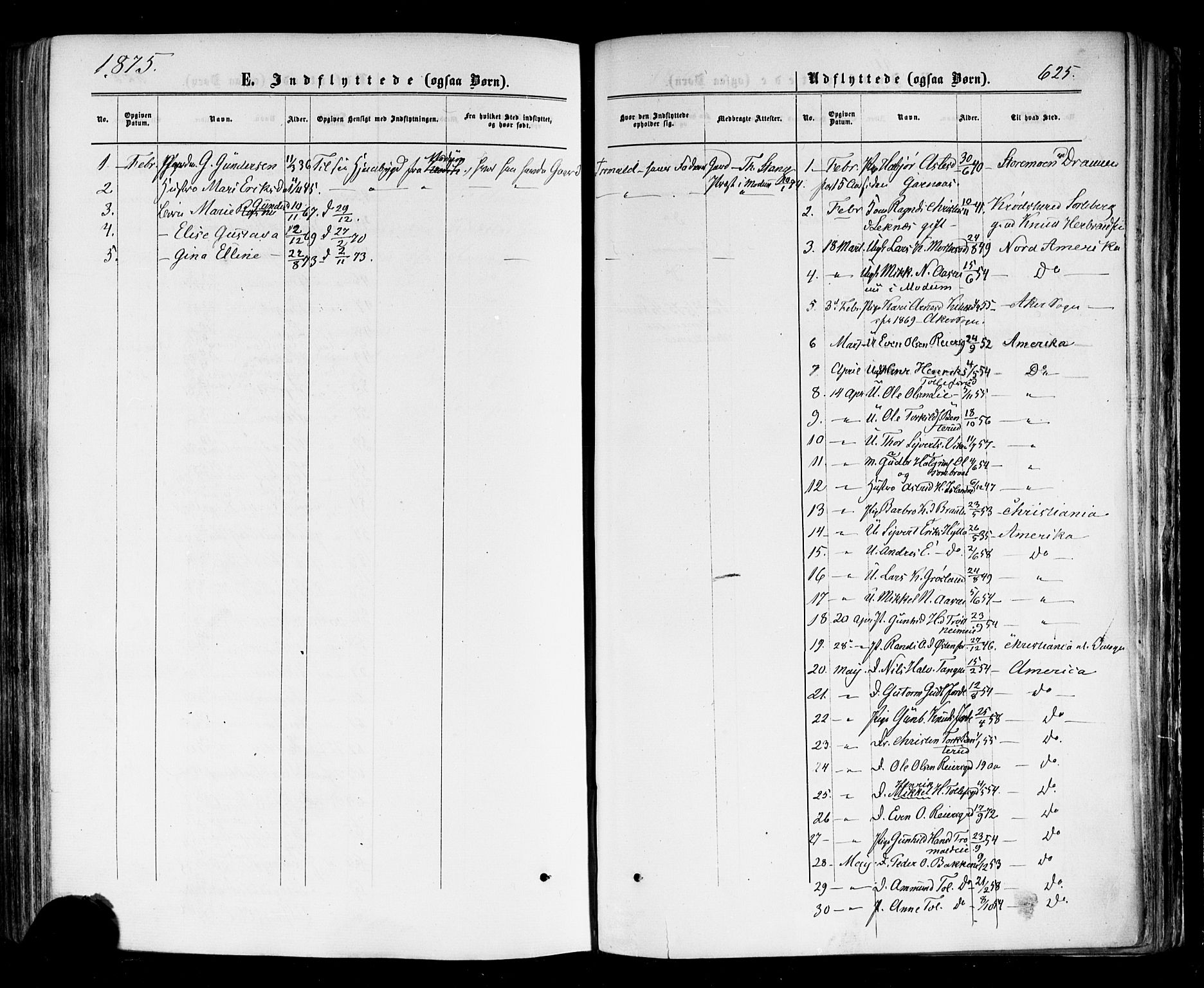 Nes kirkebøker, AV/SAKO-A-236/F/Fa/L0010: Parish register (official) no. 10, 1864-1880, p. 625