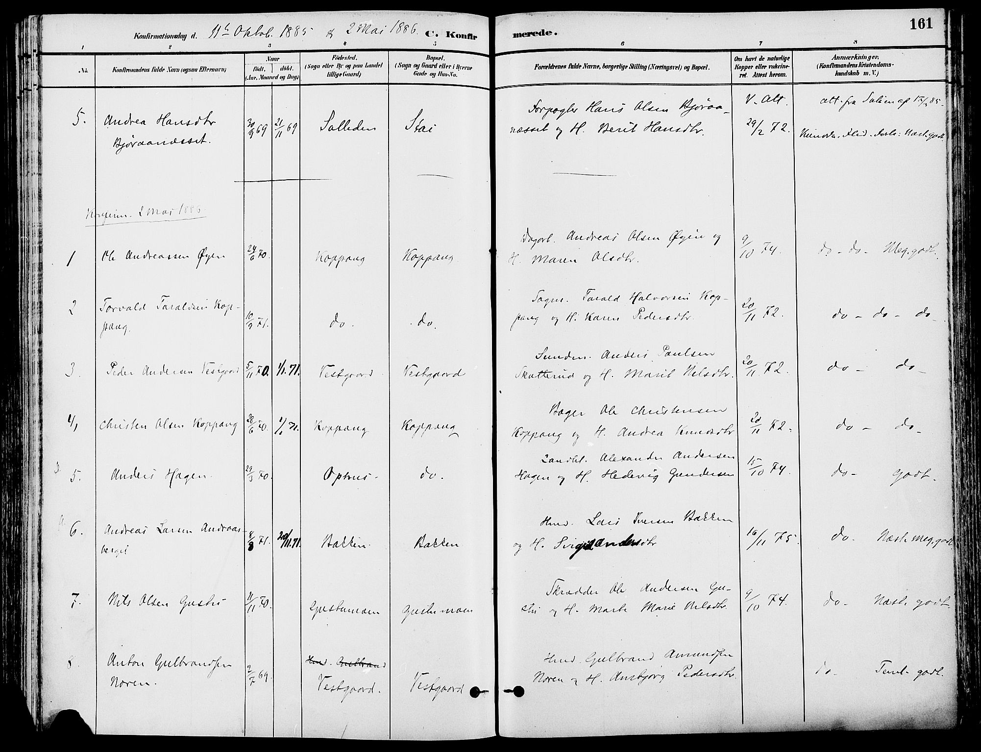 Stor-Elvdal prestekontor, SAH/PREST-052/H/Ha/Haa/L0002: Parish register (official) no. 2, 1882-1907, p. 161