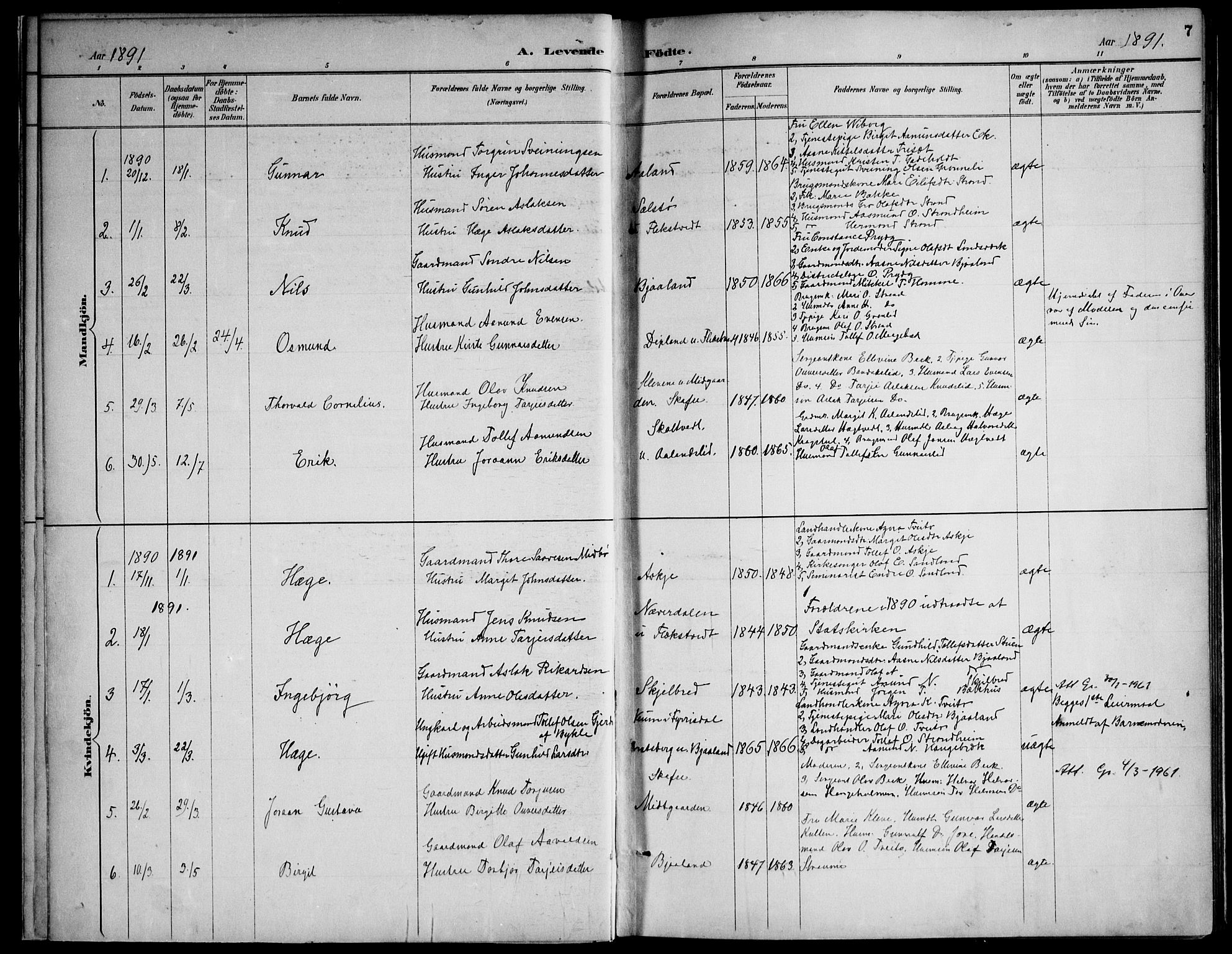 Lårdal kirkebøker, SAKO/A-284/F/Fa/L0007: Parish register (official) no. I 7, 1887-1906, p. 7