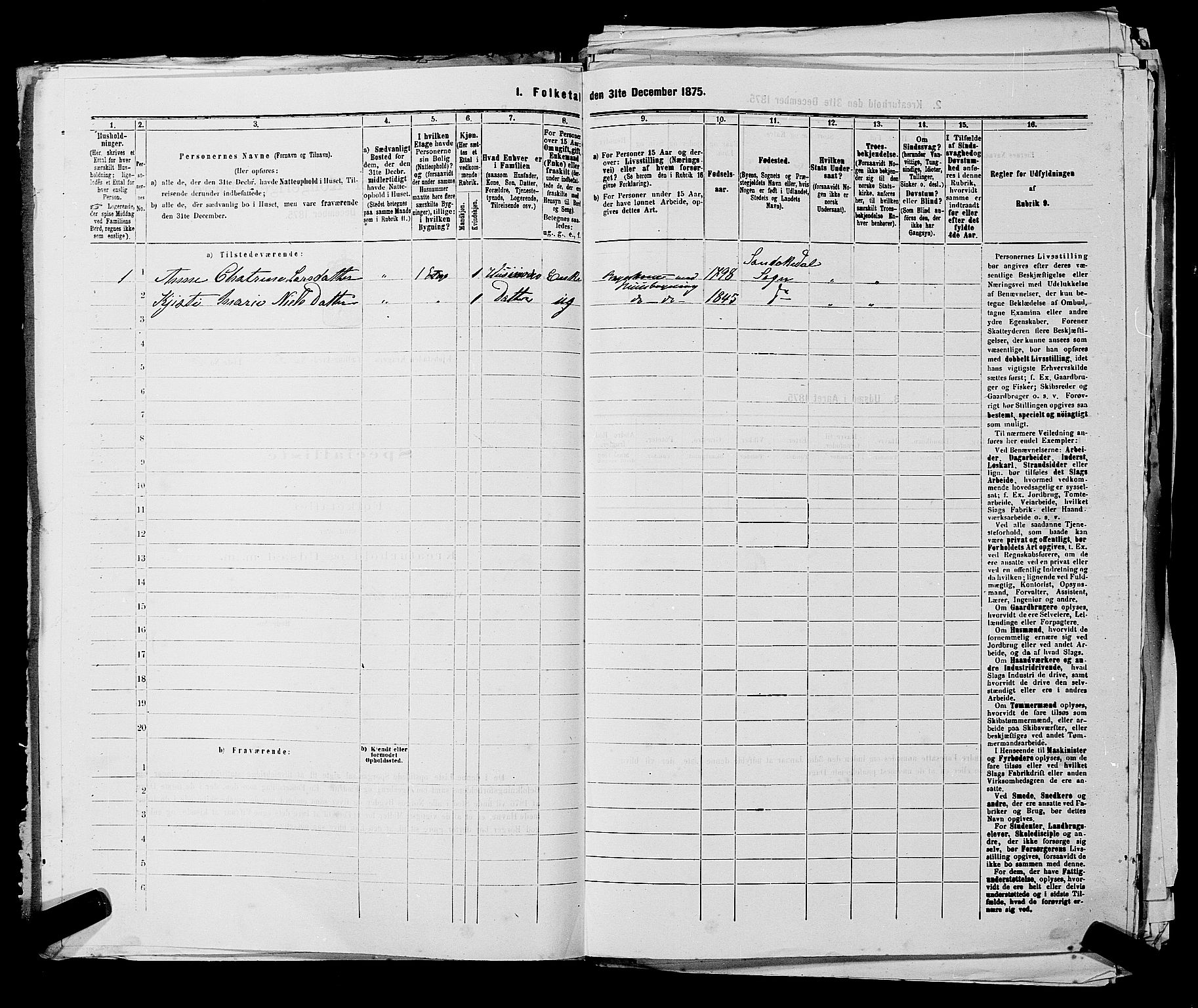 SAKO, 1875 census for 0801P Kragerø, 1875, p. 1142