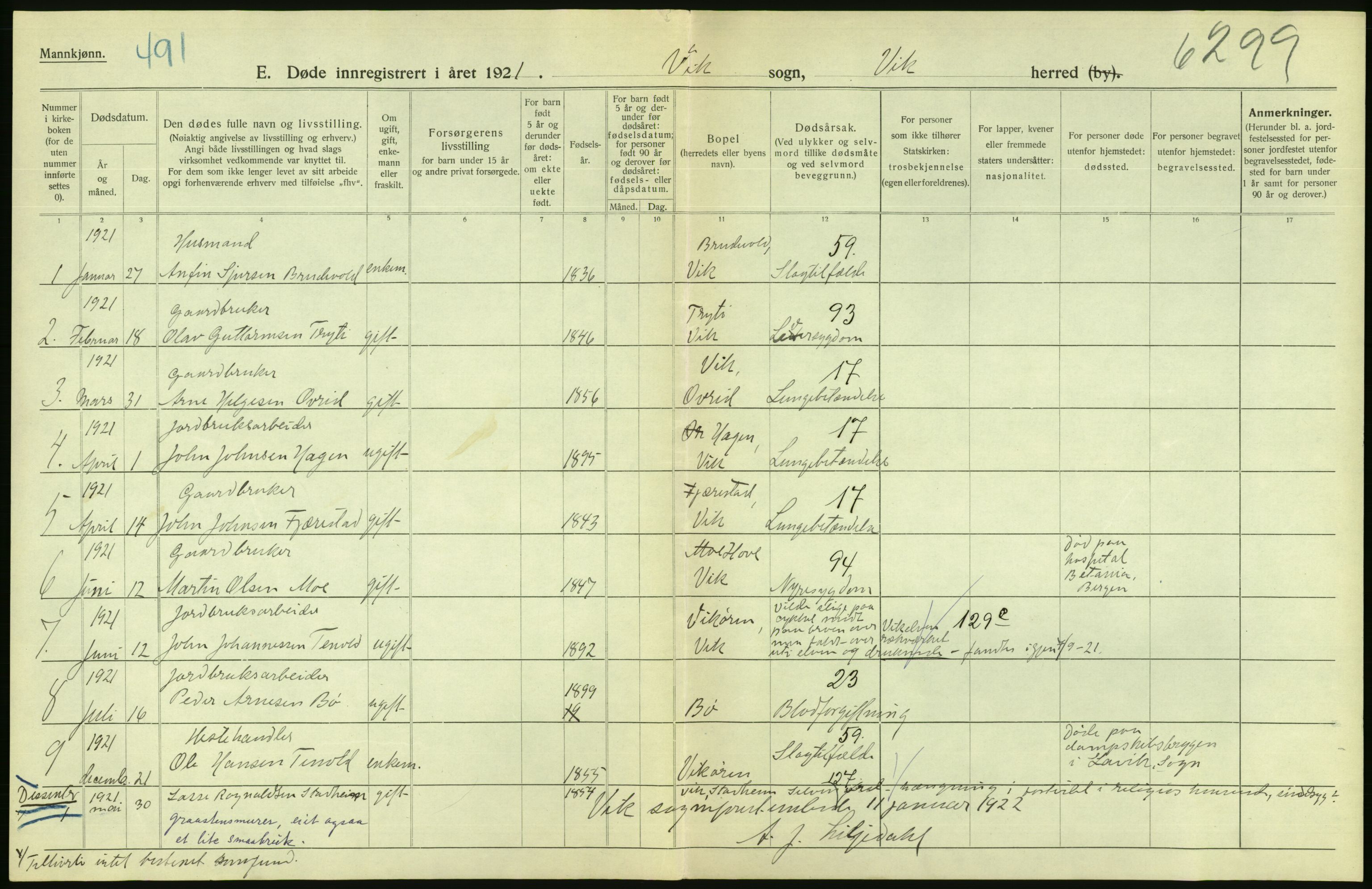 Statistisk sentralbyrå, Sosiodemografiske emner, Befolkning, RA/S-2228/D/Df/Dfc/Dfca/L0038: Sogn og Fjordane fylke: Døde, dødfødte. Bygder., 1921, p. 62